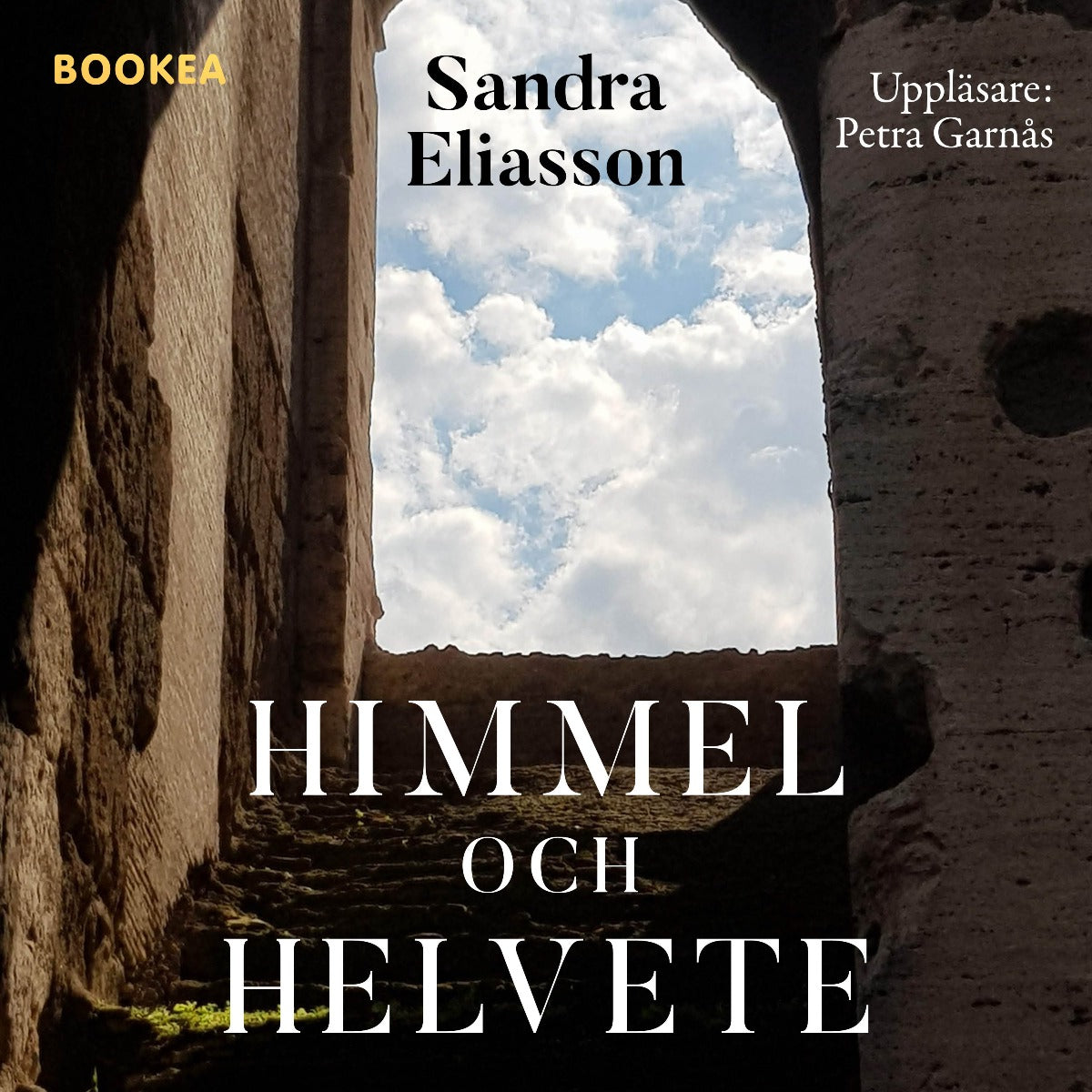 Himmel och helvete : ett liv med bipolär sjukdom – Ljudbok