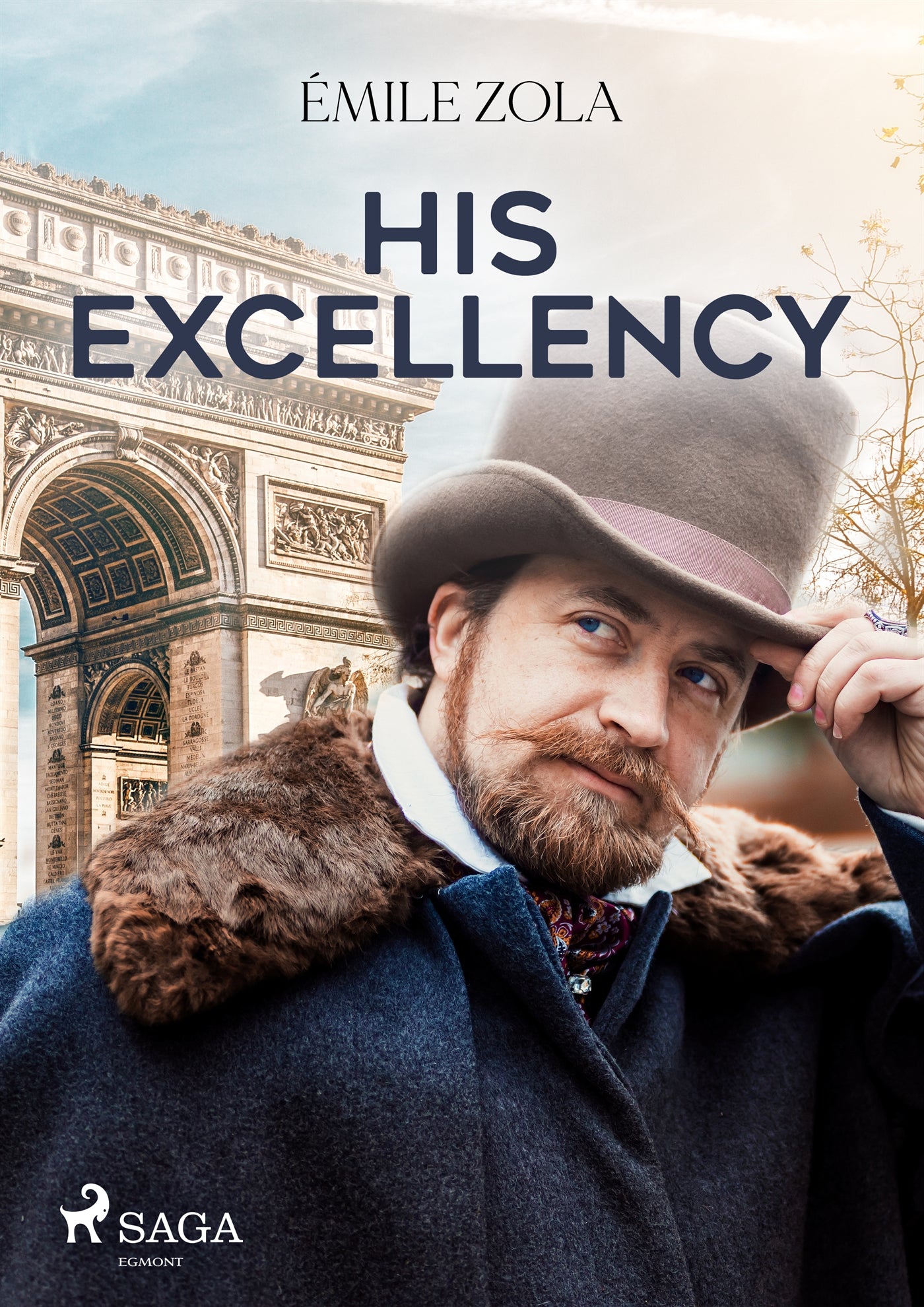His Excellency – E-bok