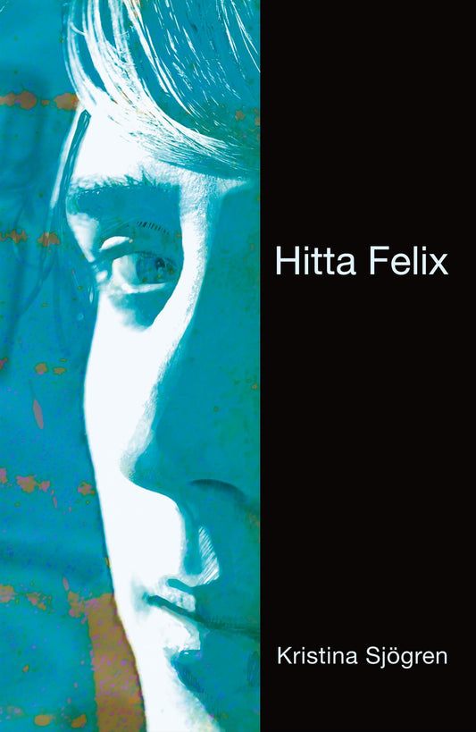 Hitta Felix – E-bok