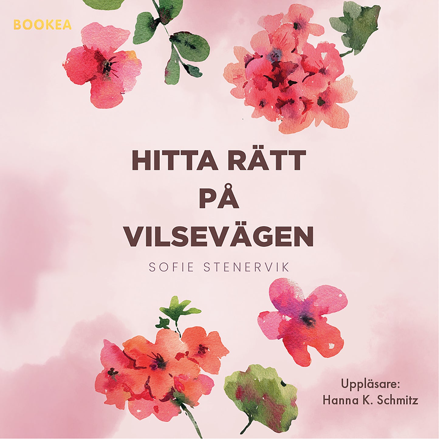 Hitta rätt på Vilsevägen – Ljudbok