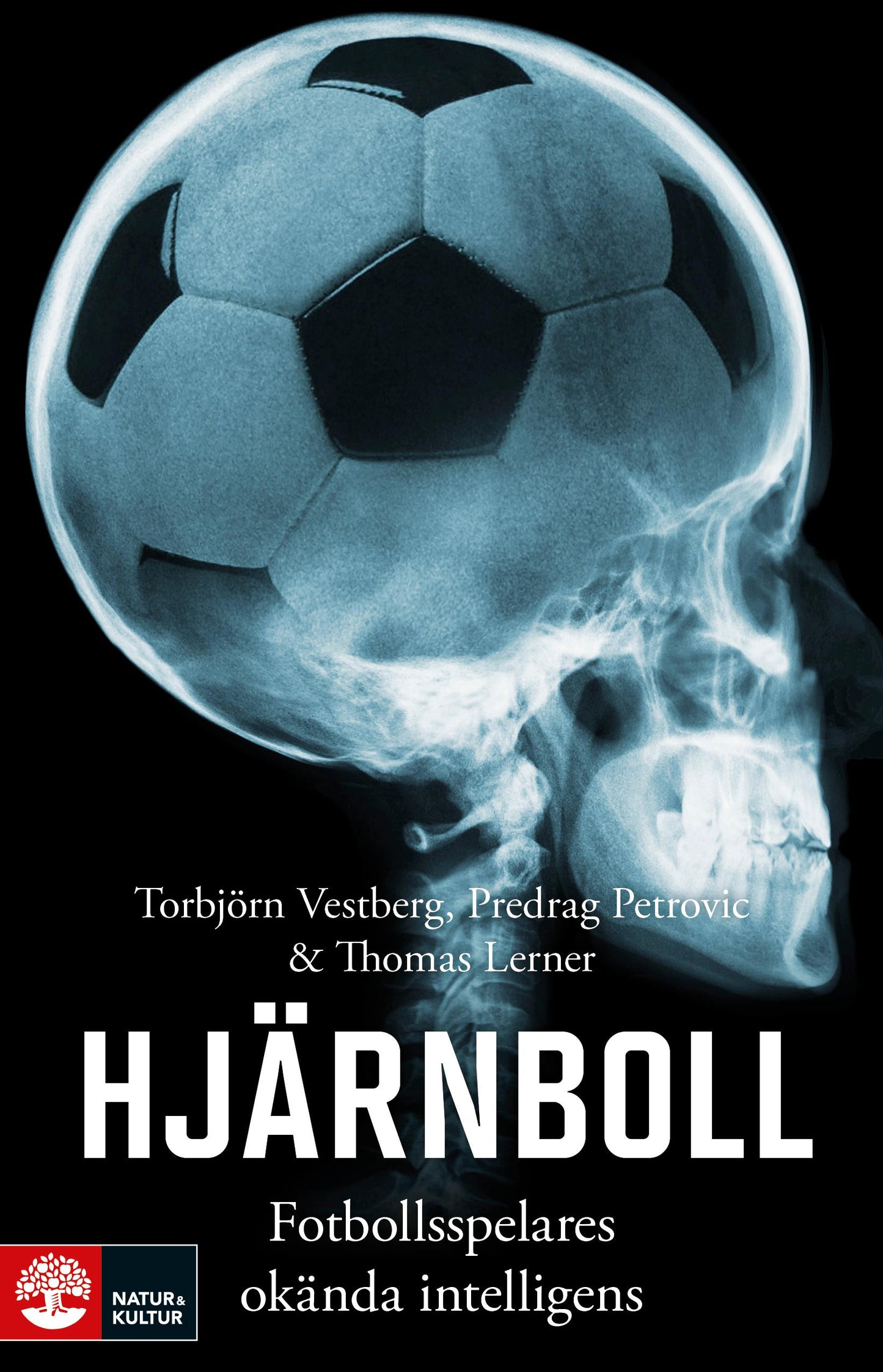 Hjärnboll : Fotbollsspelares okända intelligens – E-bok