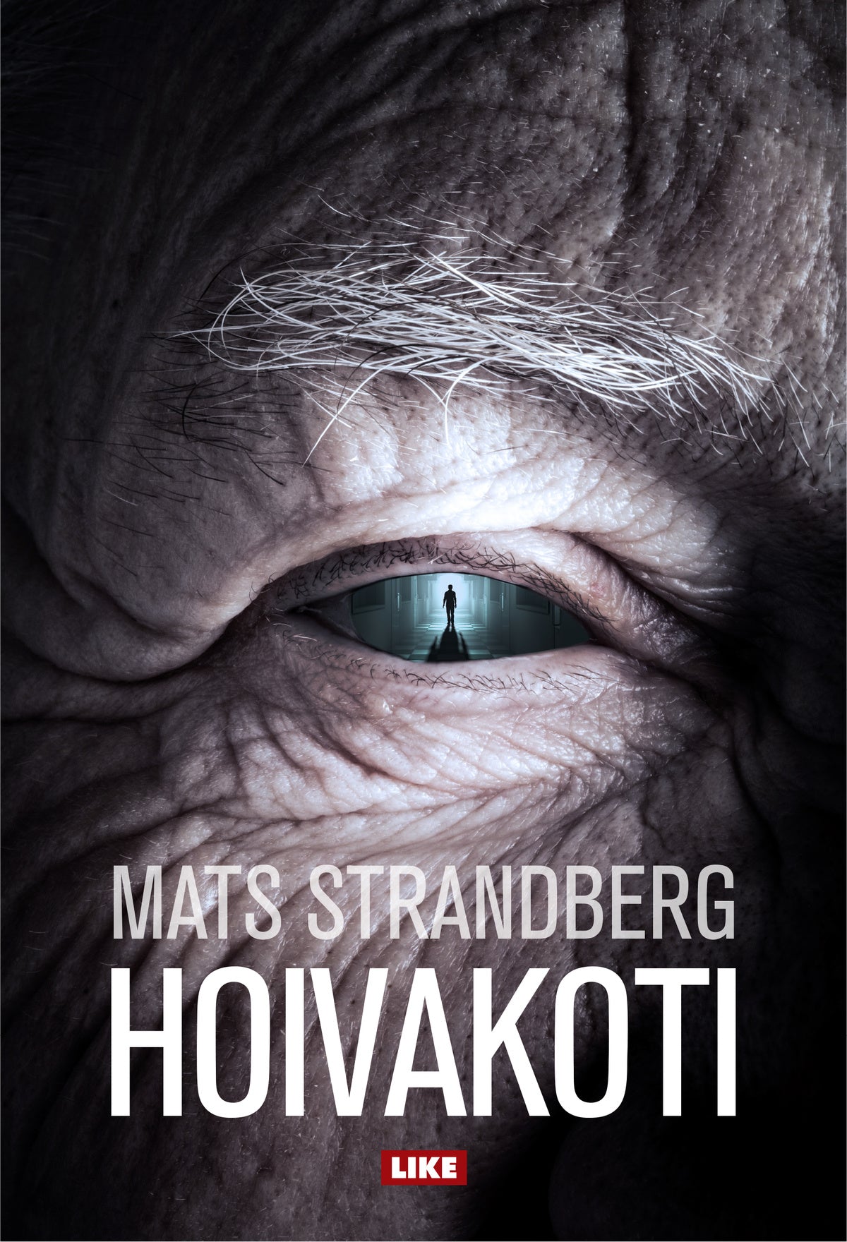 Hoivakoti – E-bok