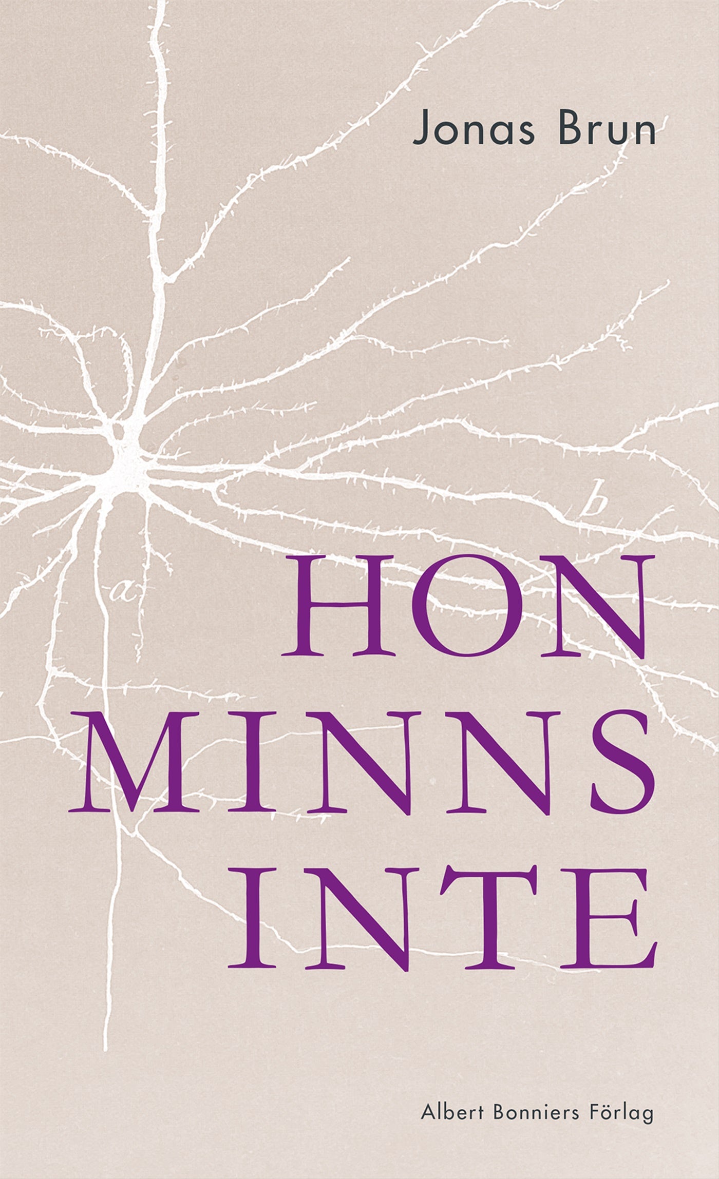 Hon minns inte – E-bok