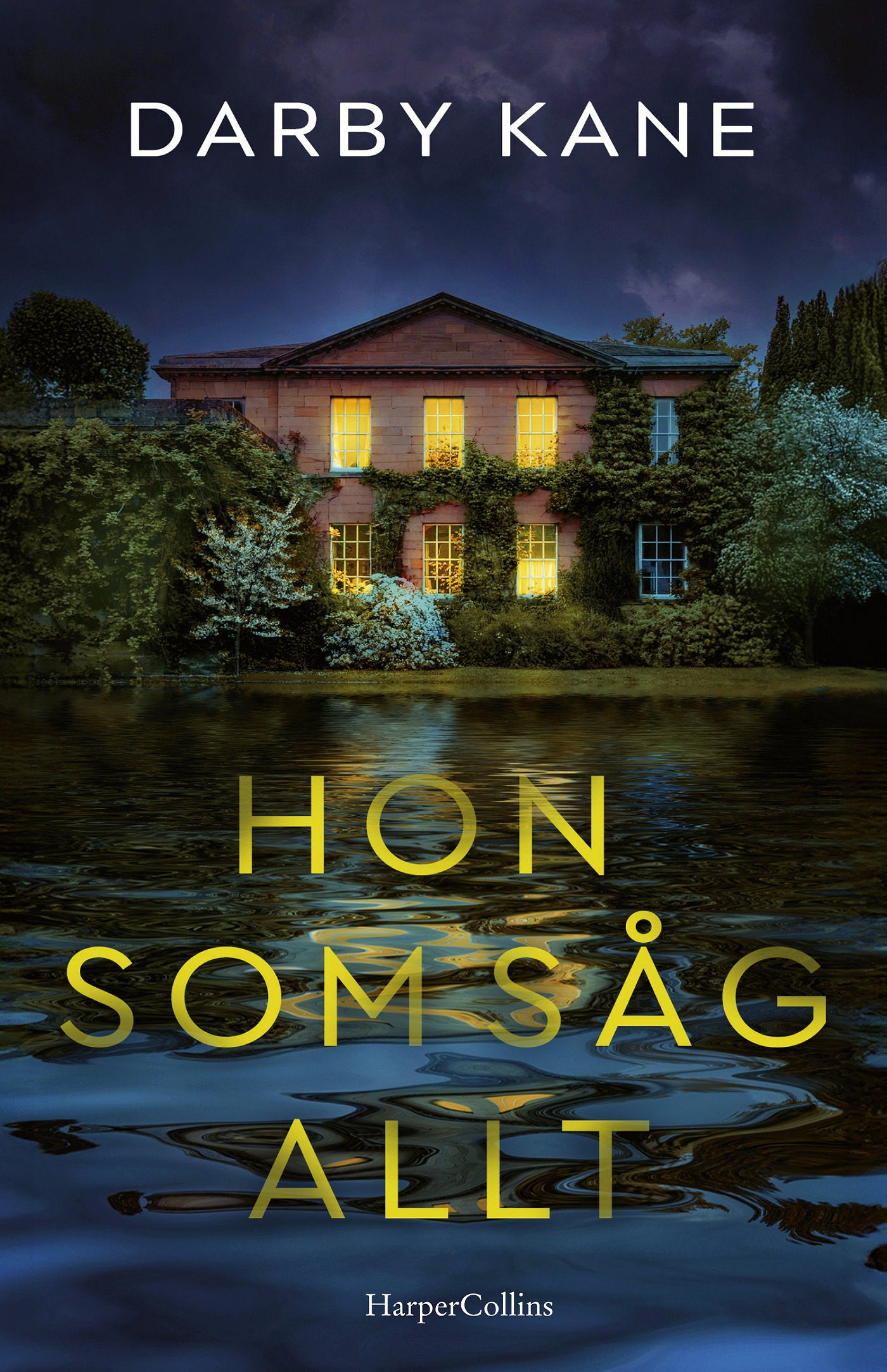 Hon som såg allt – E-bok