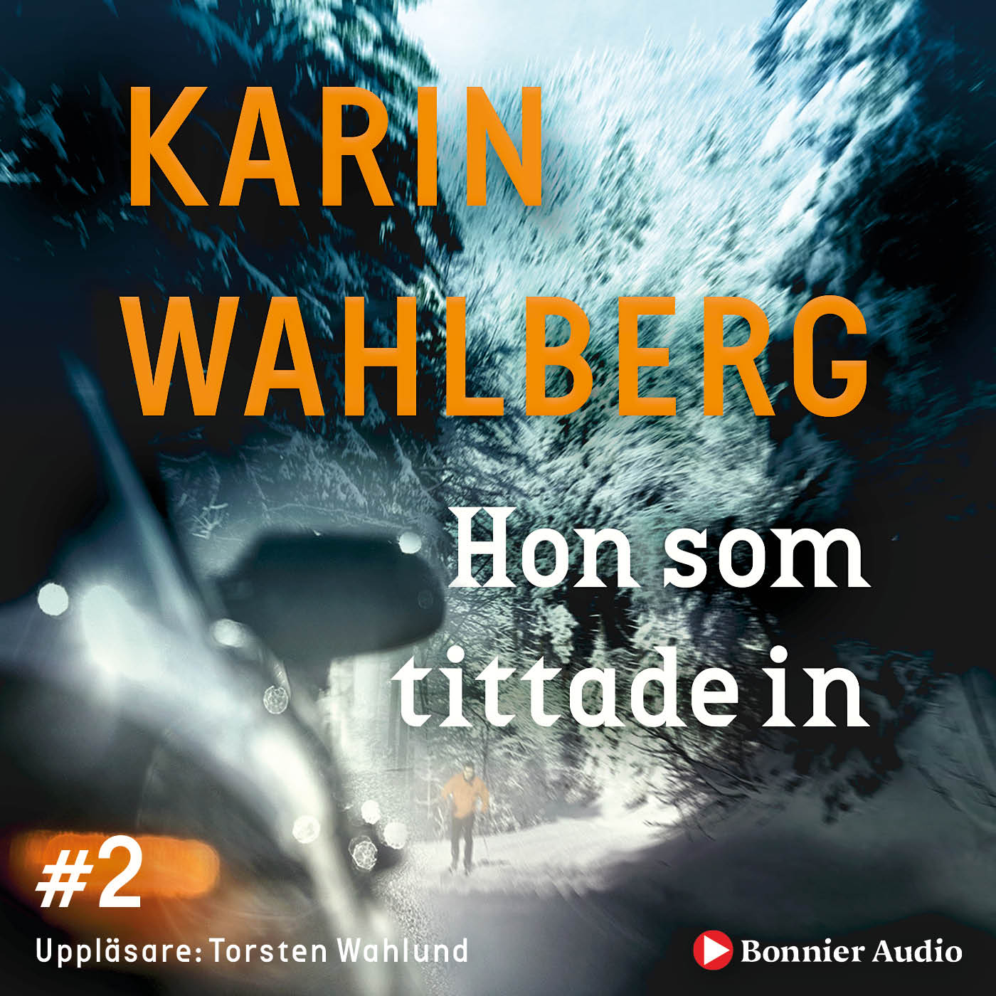 Hon som tittade in – Ljudbok