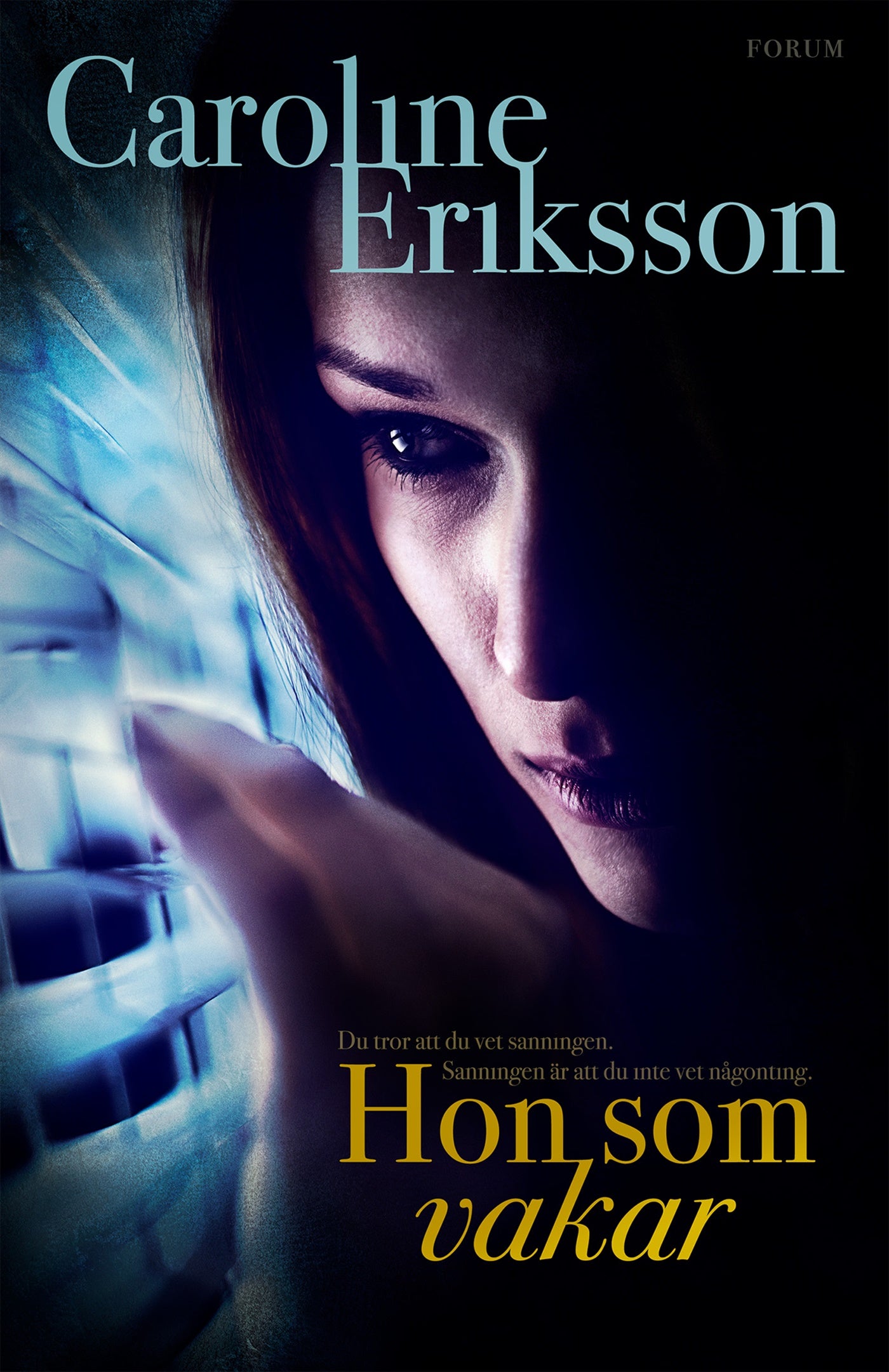 Hon som vakar – E-bok