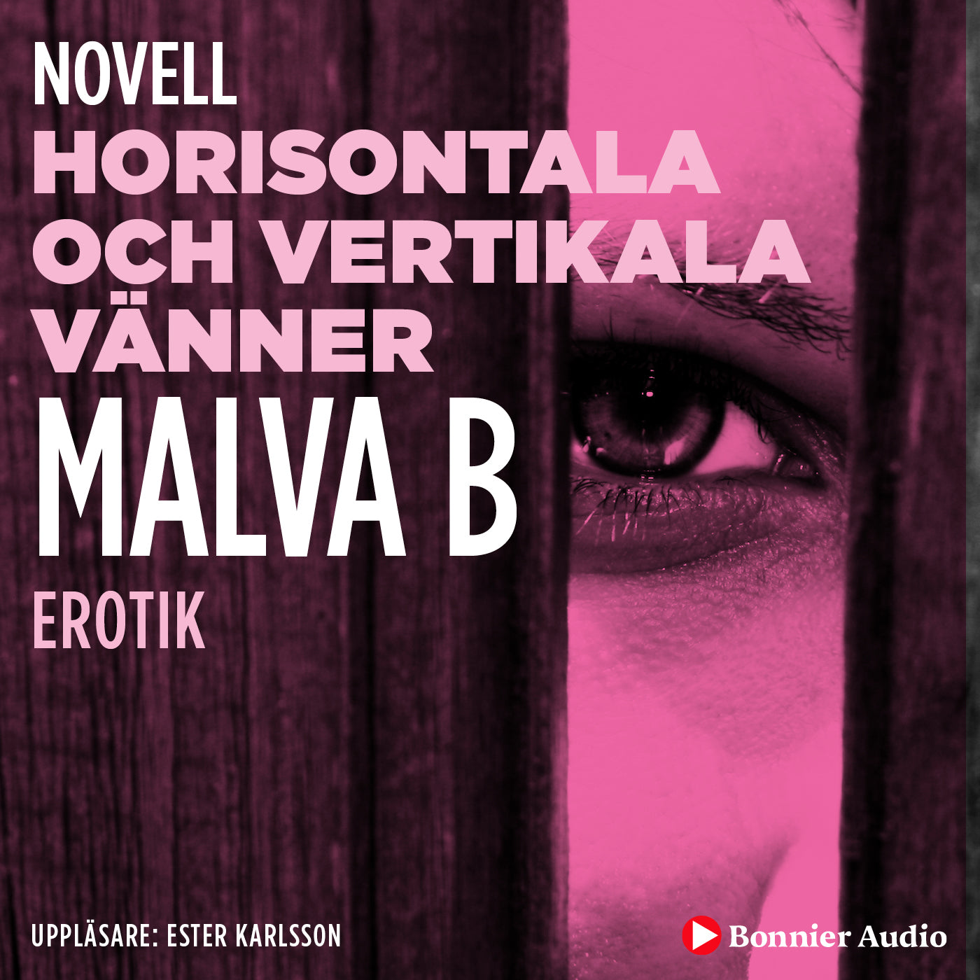 Horisontala och vertikala vänner : en novell ur Begär – Ljudbok