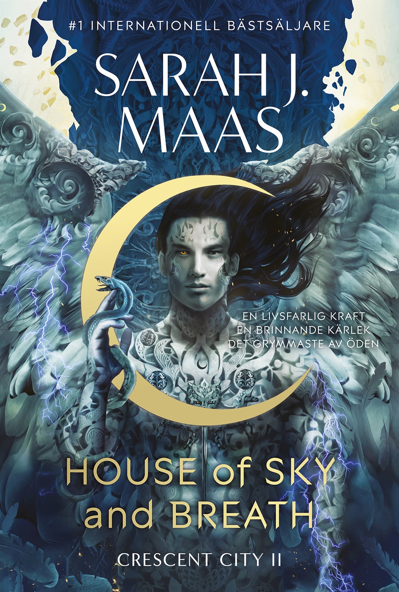 House of Sky and Breath (Svensk utgåva) – E-bok