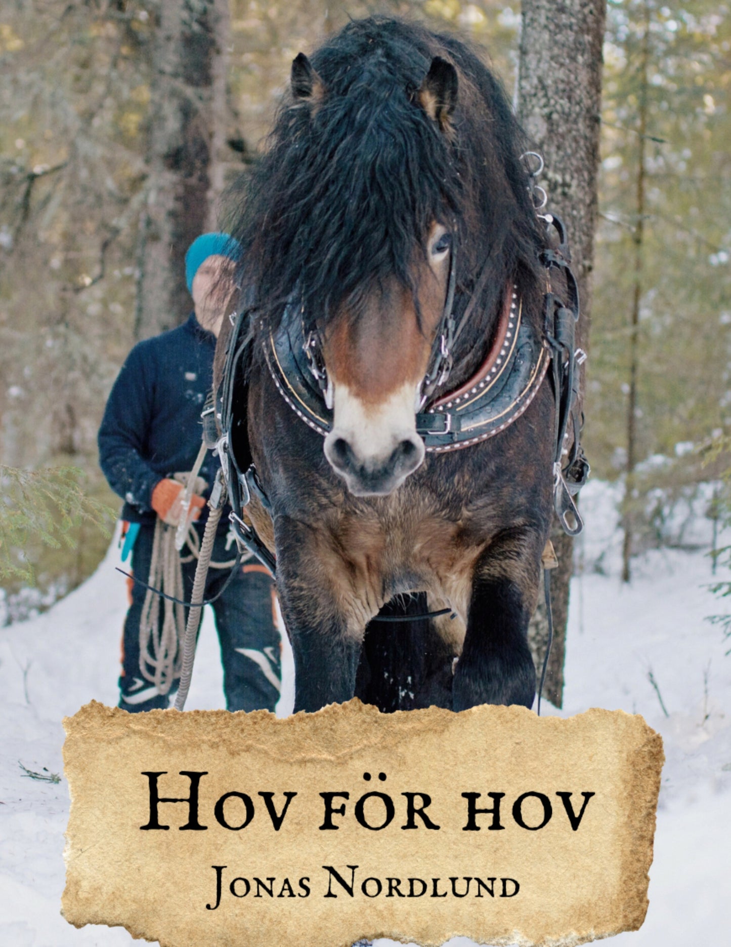 Hov för hov – E-bok