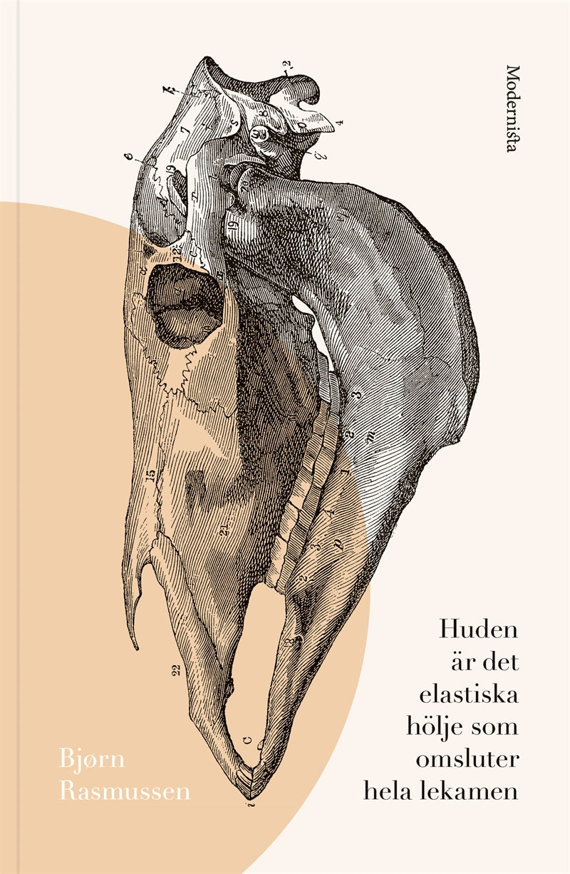 Huden är det elastiska hölje som omsluter hela lekamen – E-bok