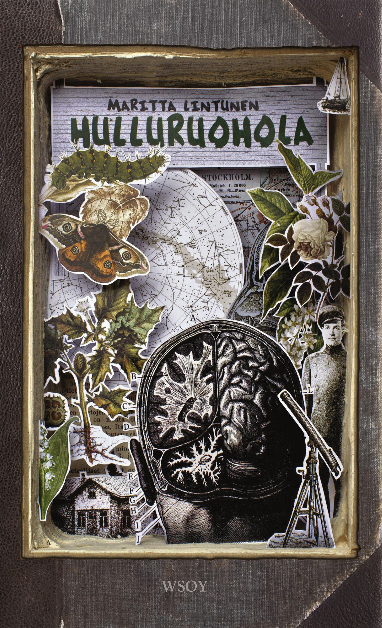 Hulluruohola – E-bok