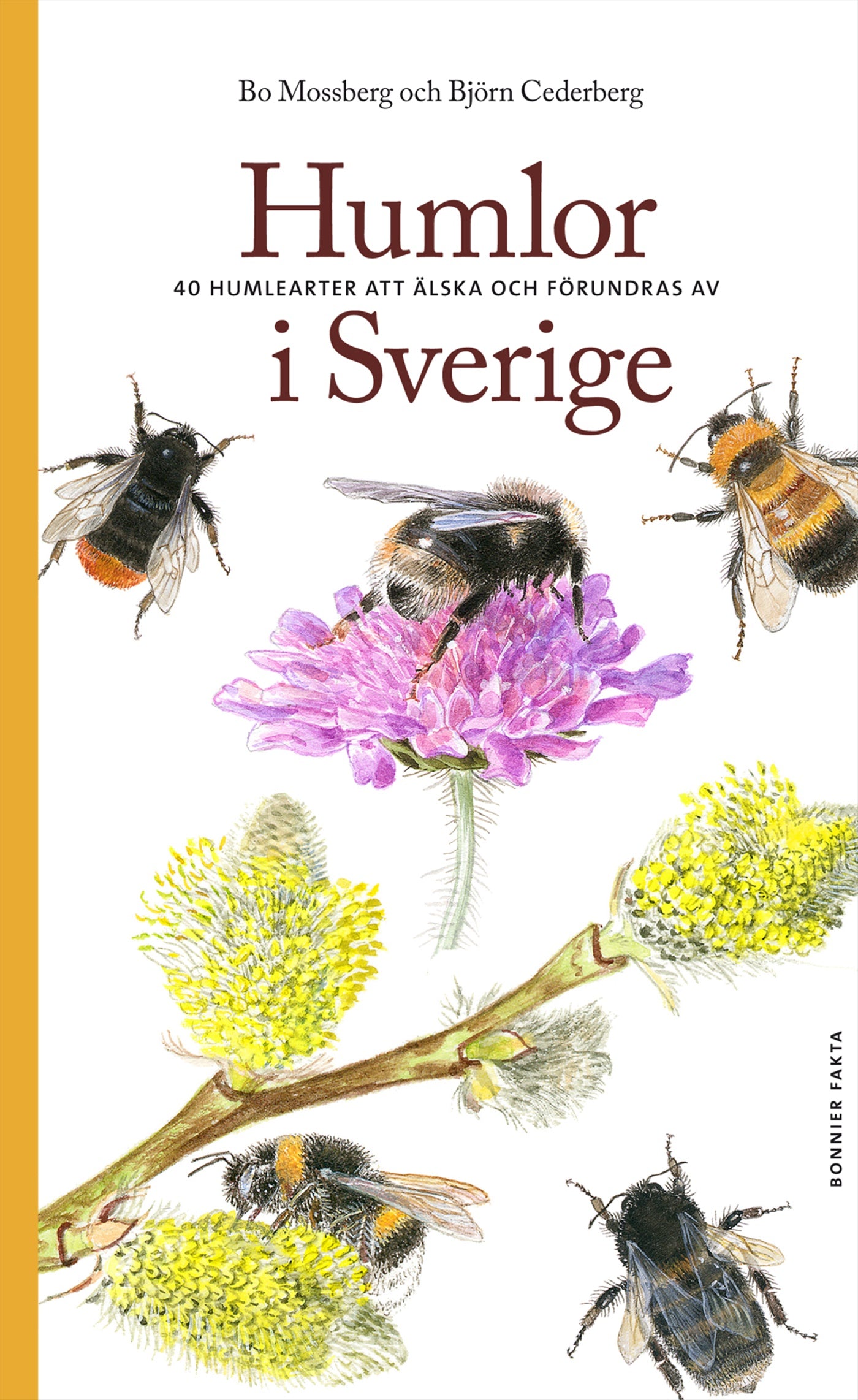 Humlor i Sverige : 40 arter att älska och förundras över – E-bok