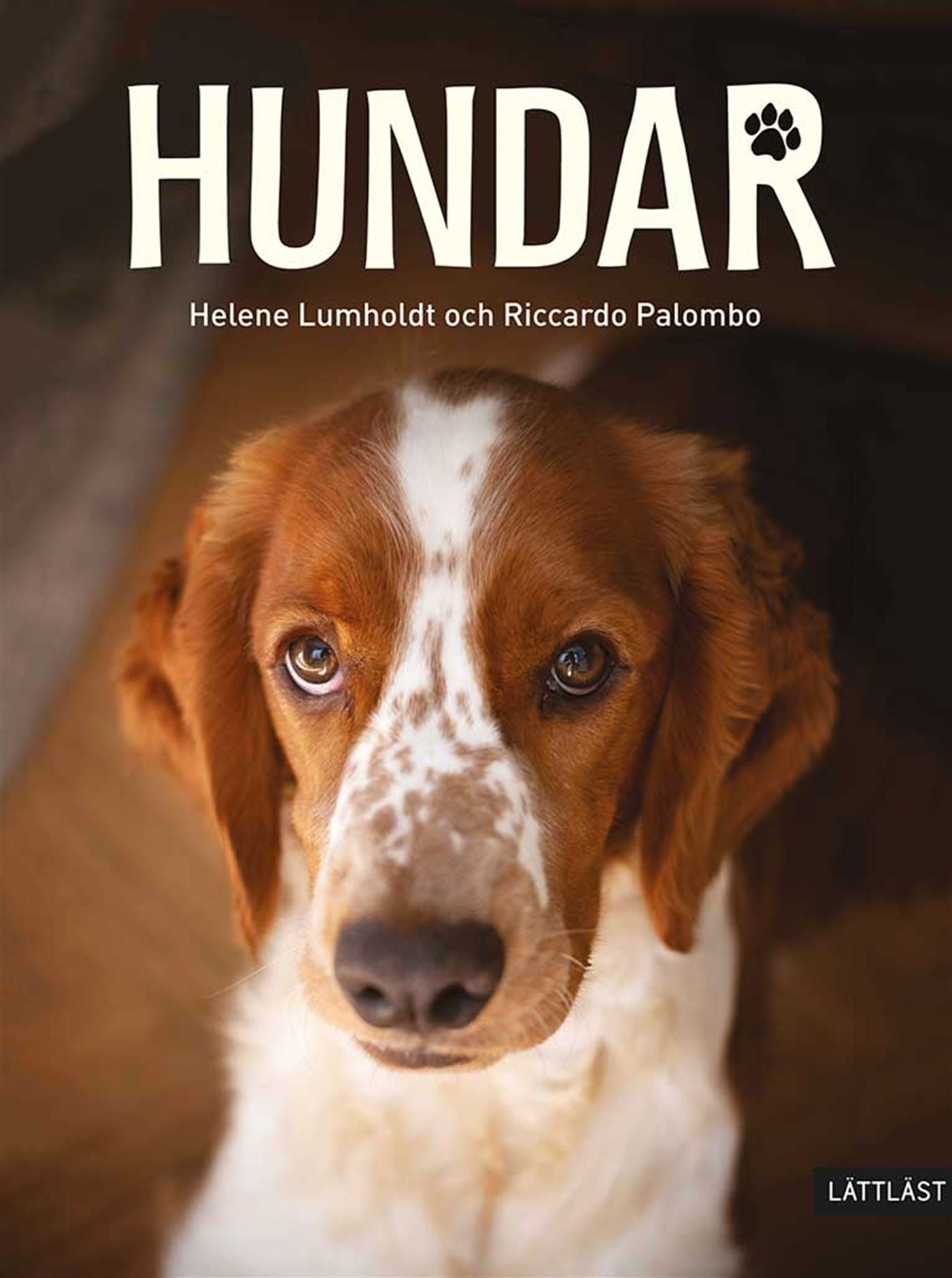 Hundar (lättläst) – E-bok