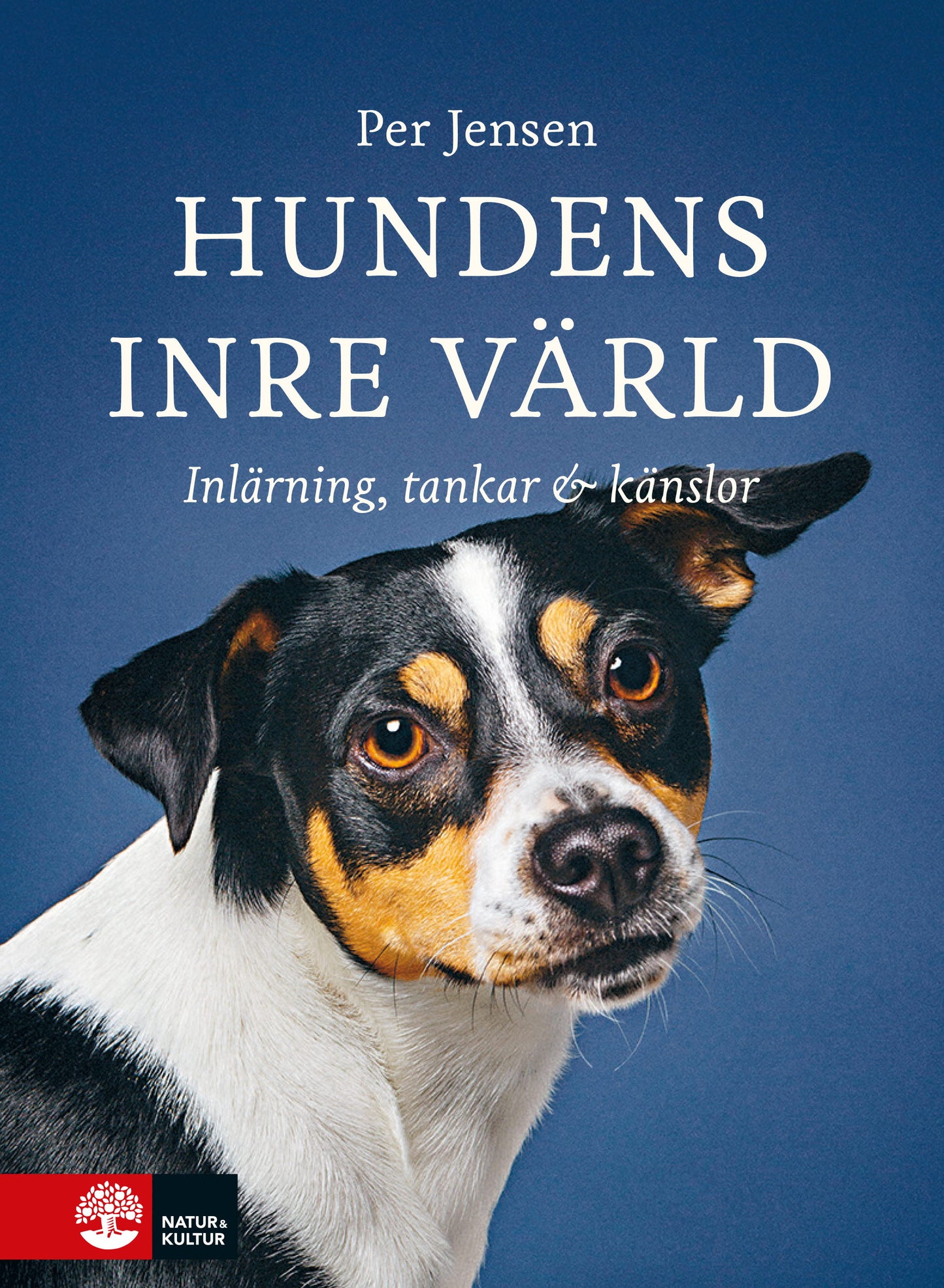 Hundens inre värld : Inlärning, tankar & känslor – E-bok