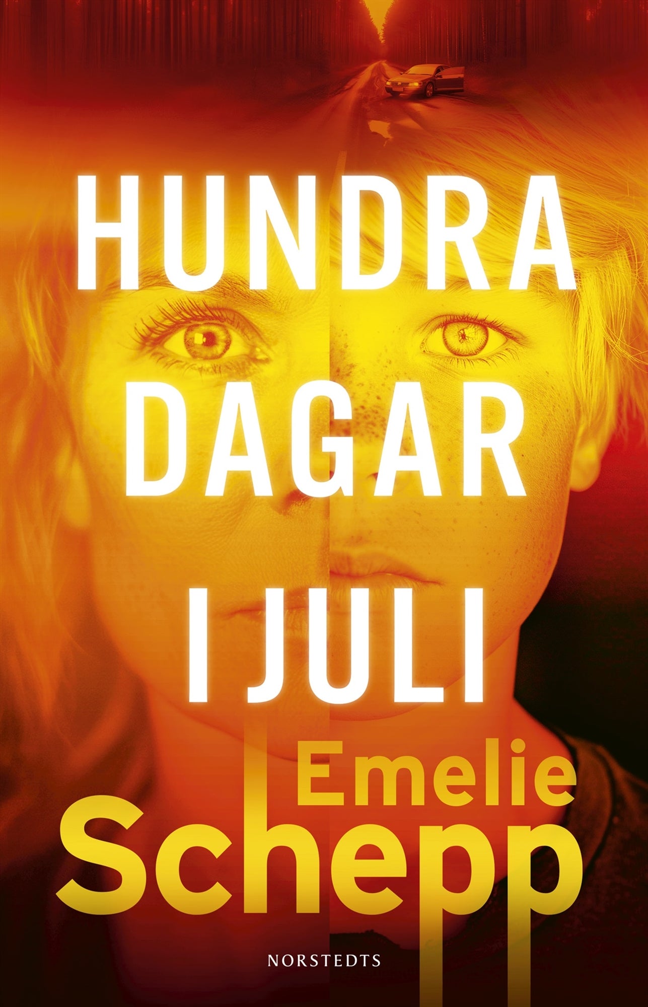 Hundra dagar i juli – E-bok