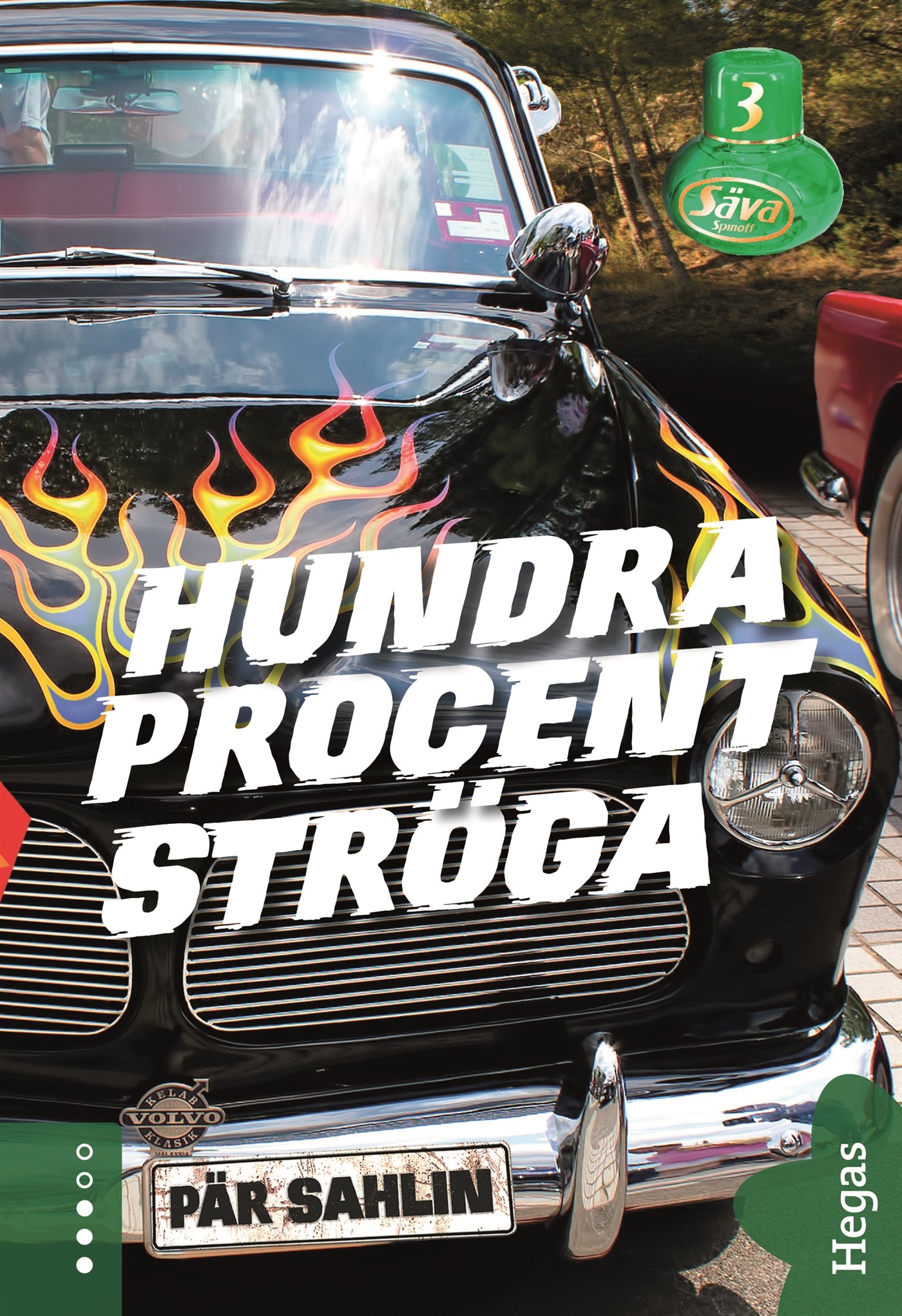 Hundra procent ströga – E-bok