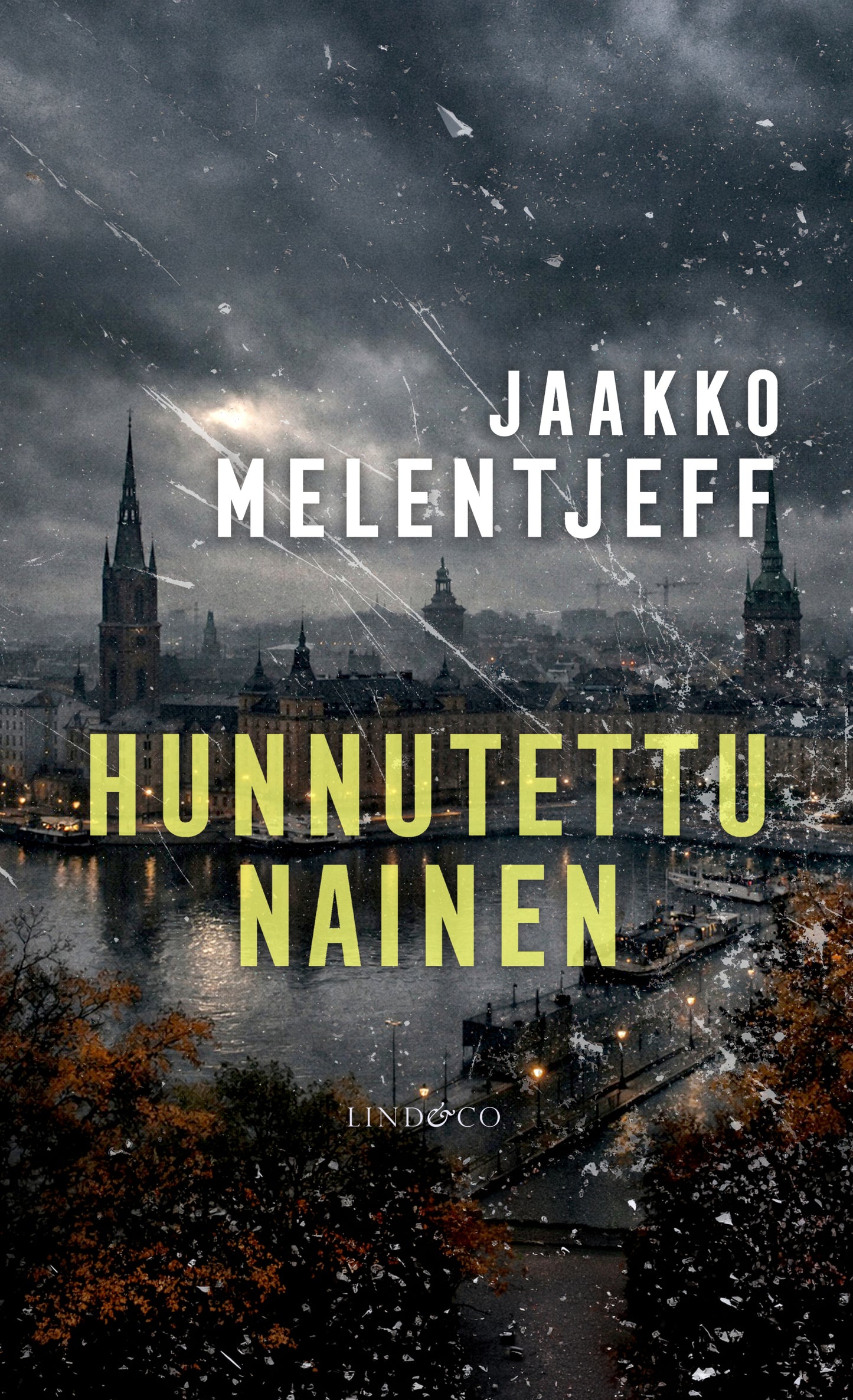 Hunnutettu nainen – E-bok