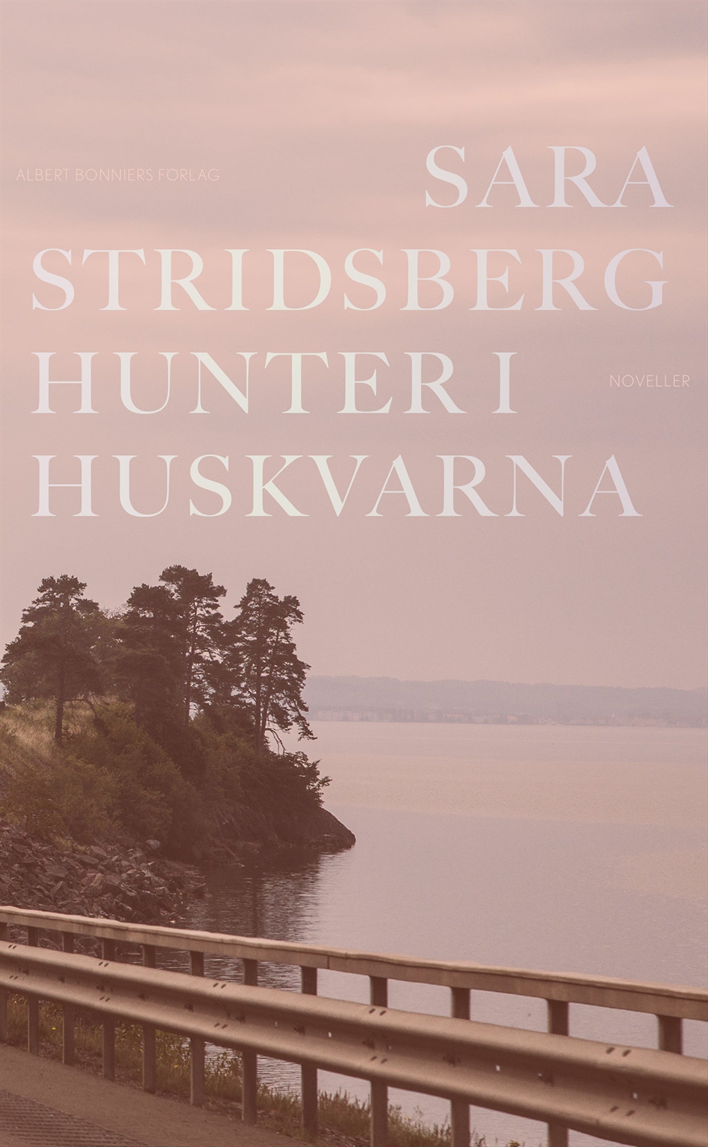 Hunter i Huskvarna – E-bok