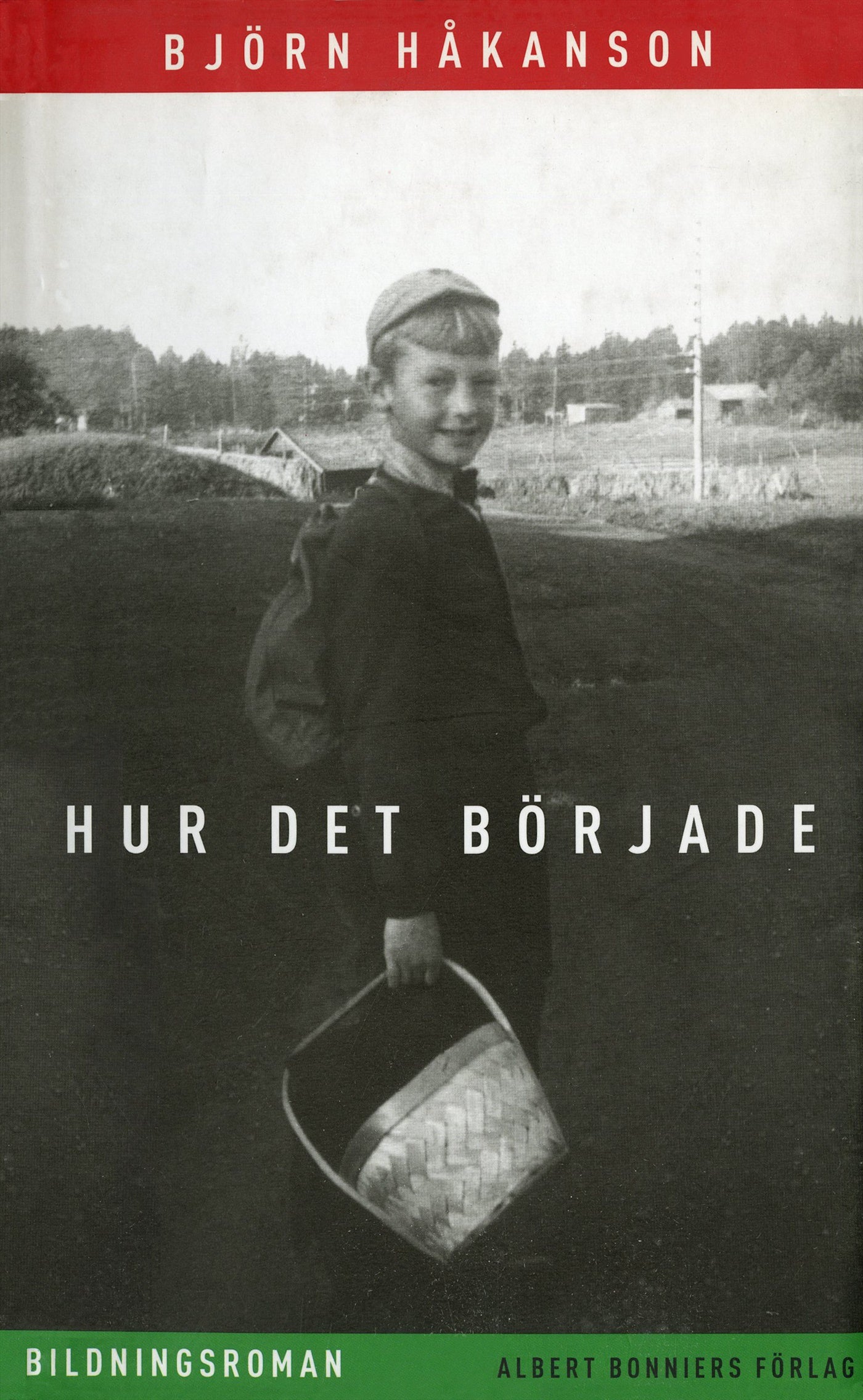 Hur det började : bildningsroman – E-bok