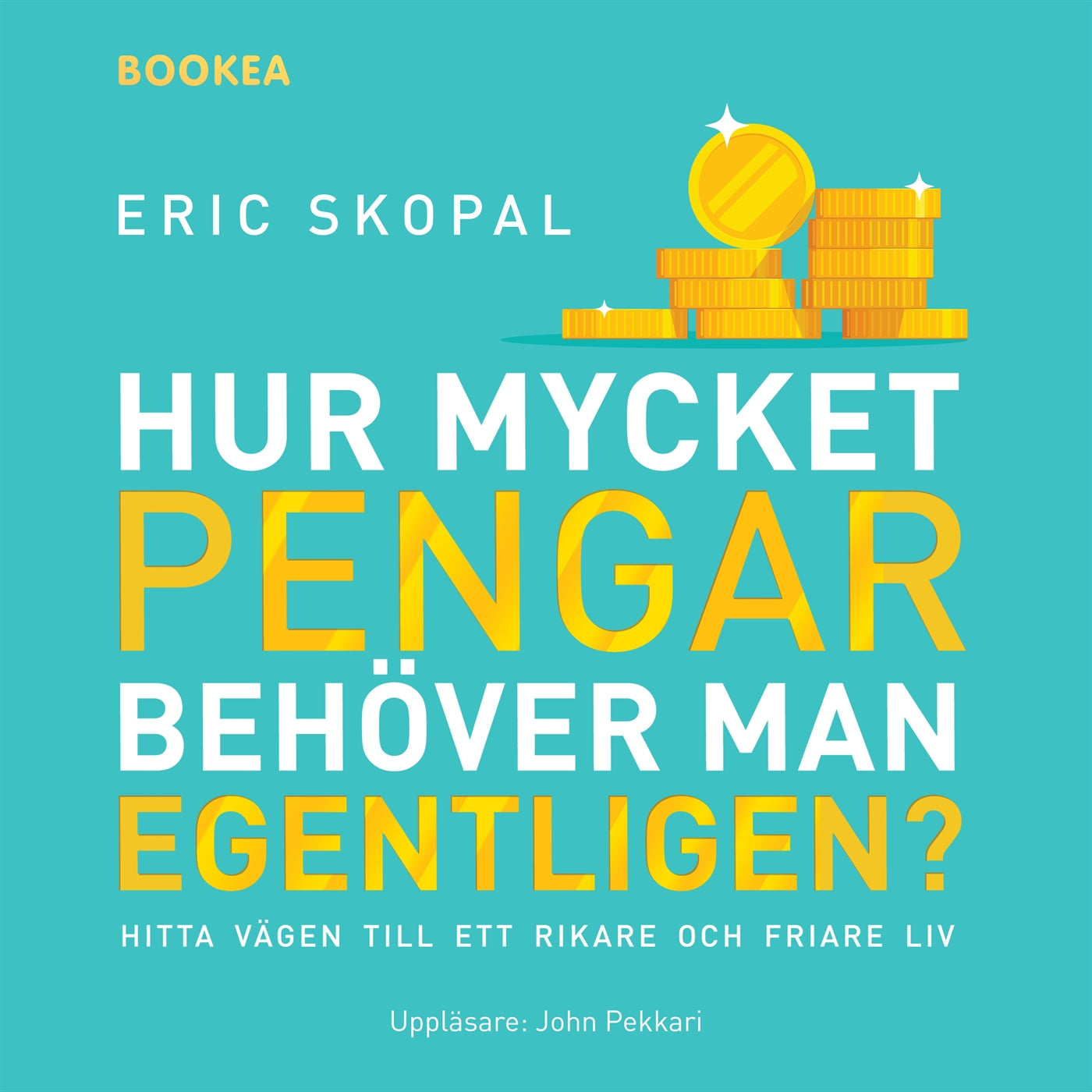 Hur mycket pengar behöver man egentligen? : hitta vägen till ett rikare och friare liv – Ljudbok