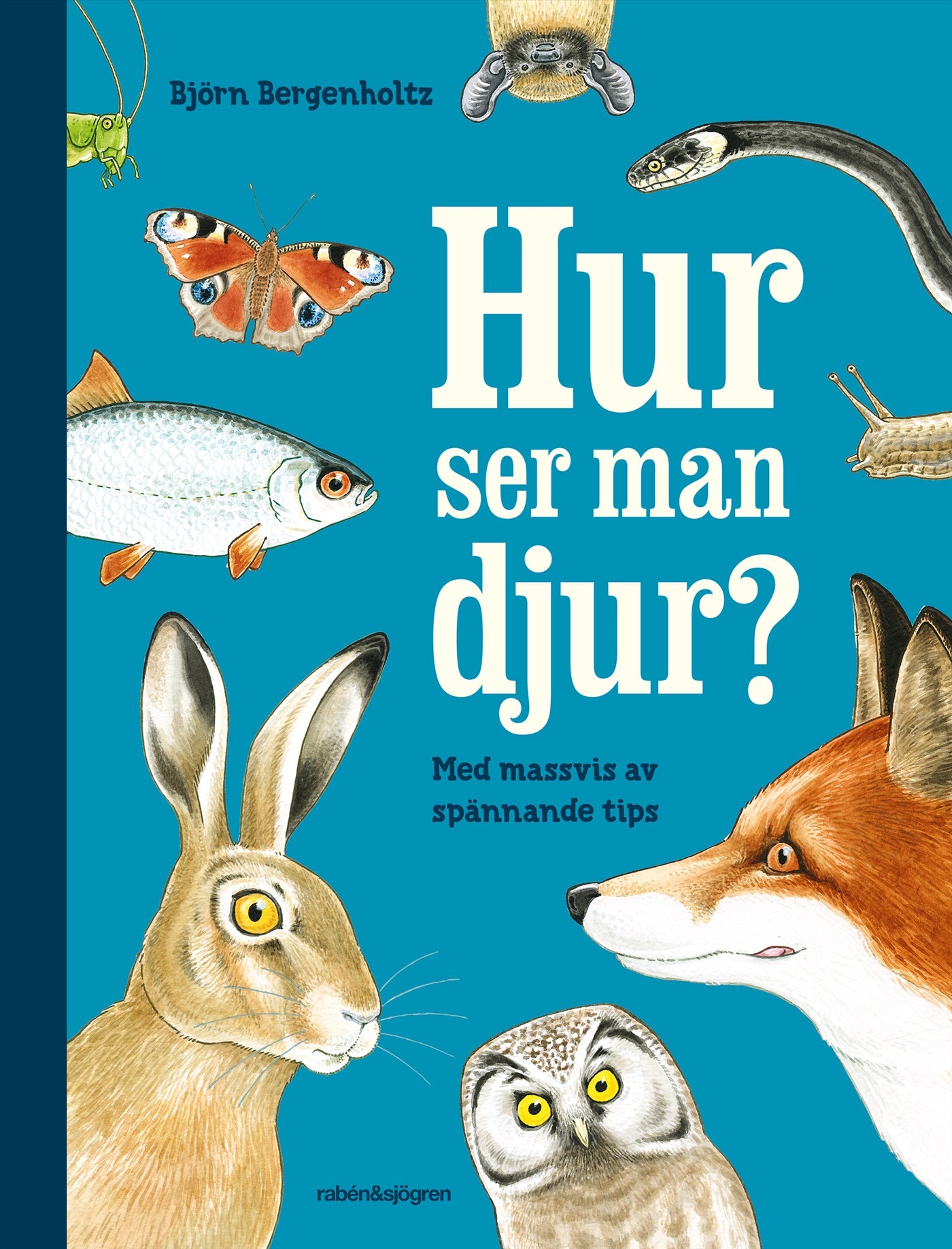 Hur ser man djur? : en upptäckarbok för nyfikna – E-bok