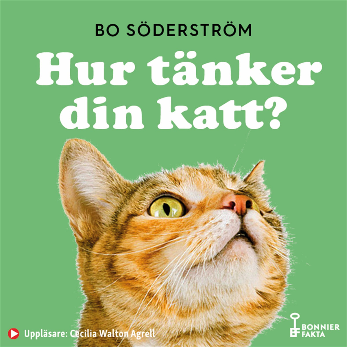 Hur tänker din katt? – Ljudbok