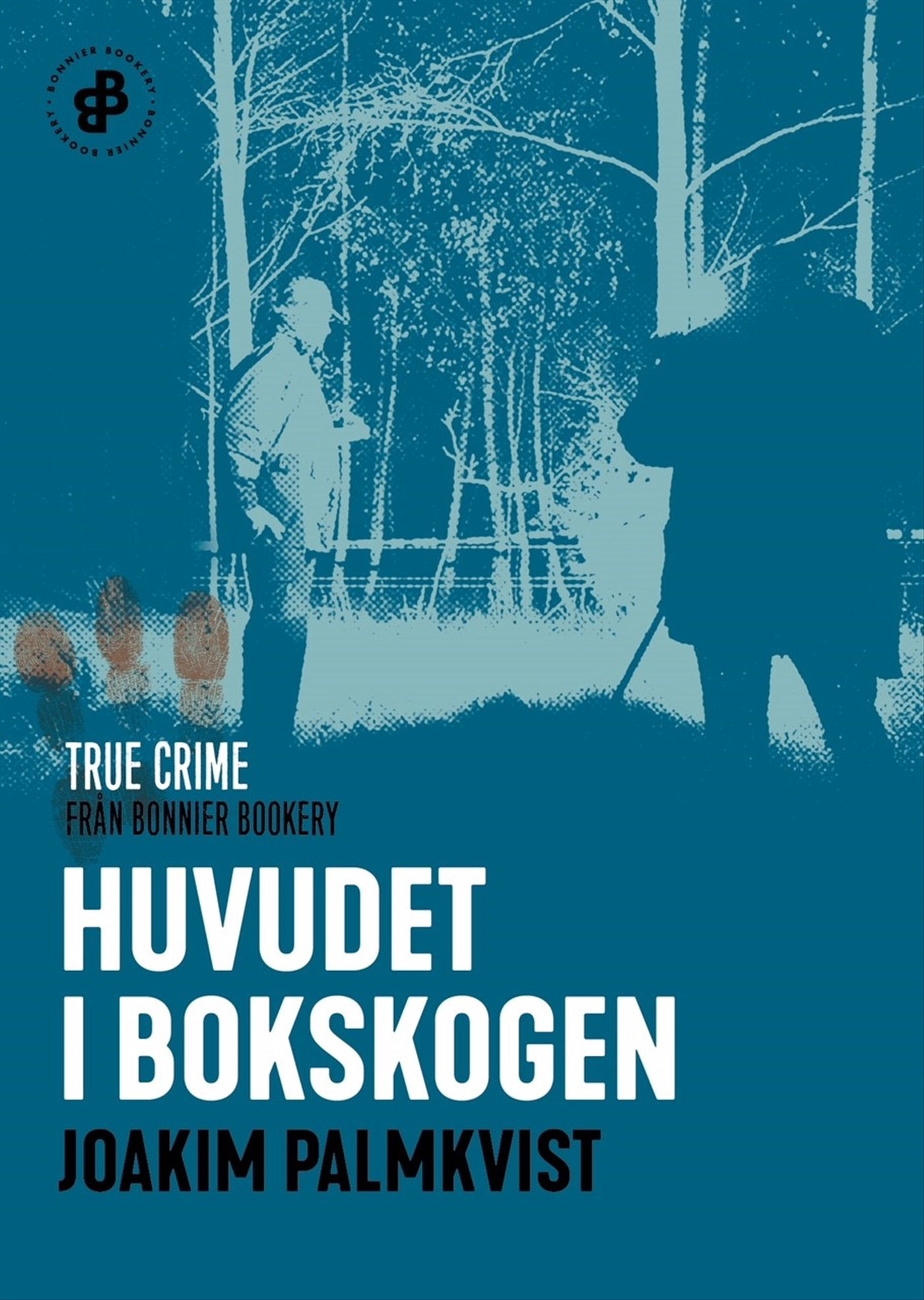 Huvudet i Bokskogen – E-bok