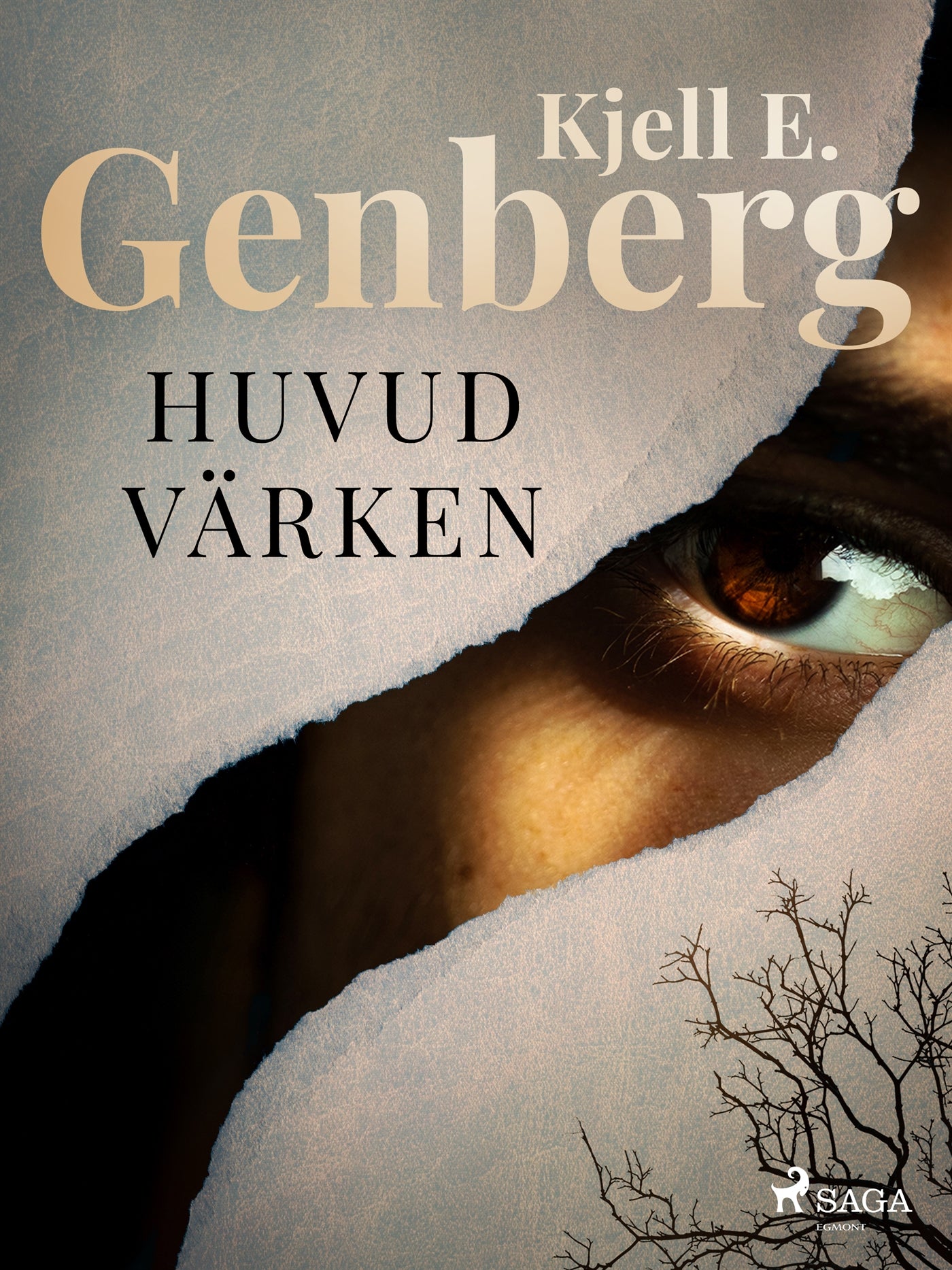 Huvudvärken – E-bok