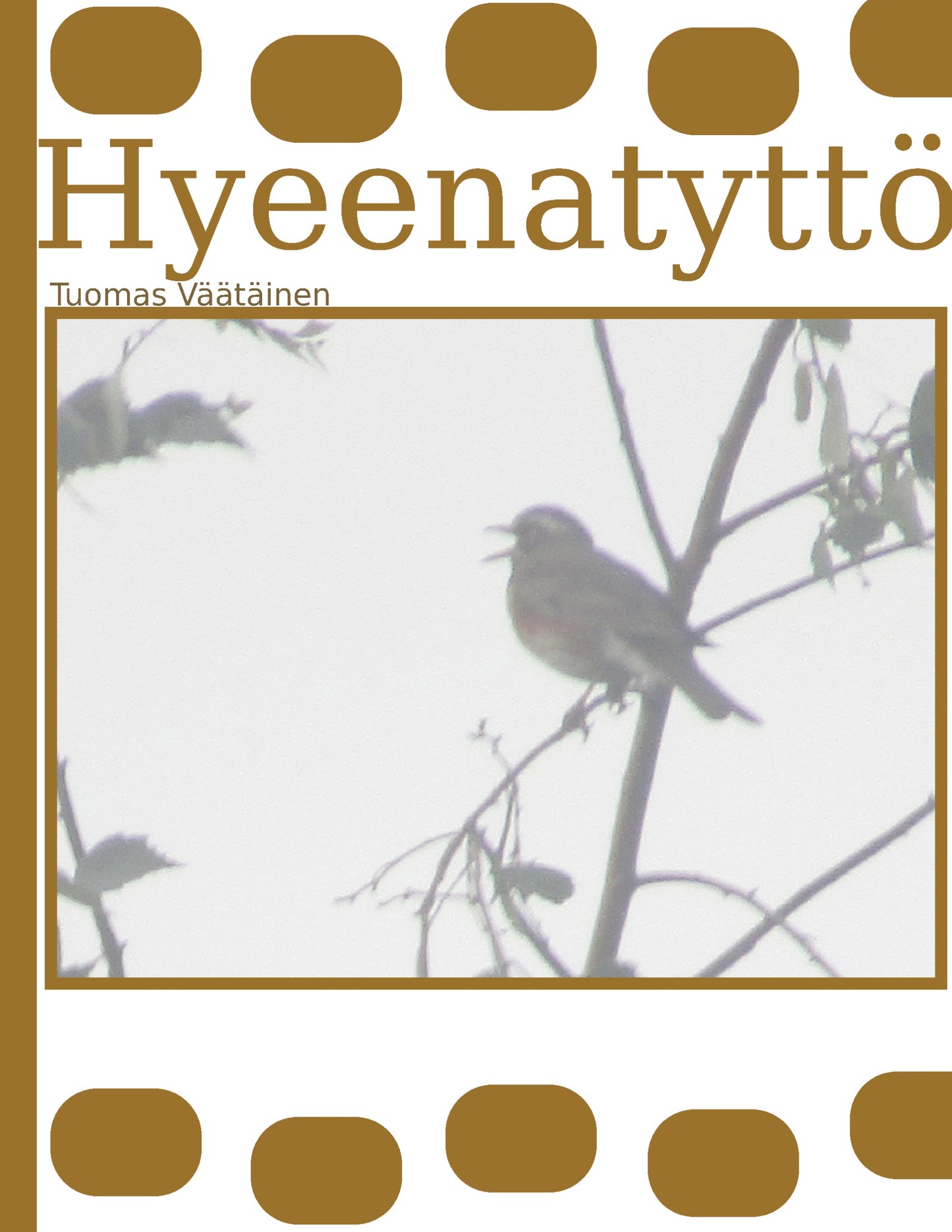 Hyeenatyttö – E-bok