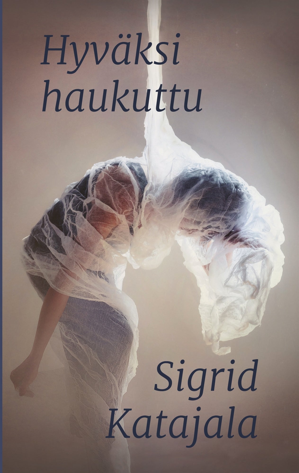 Hyväksi haukuttu – E-bok