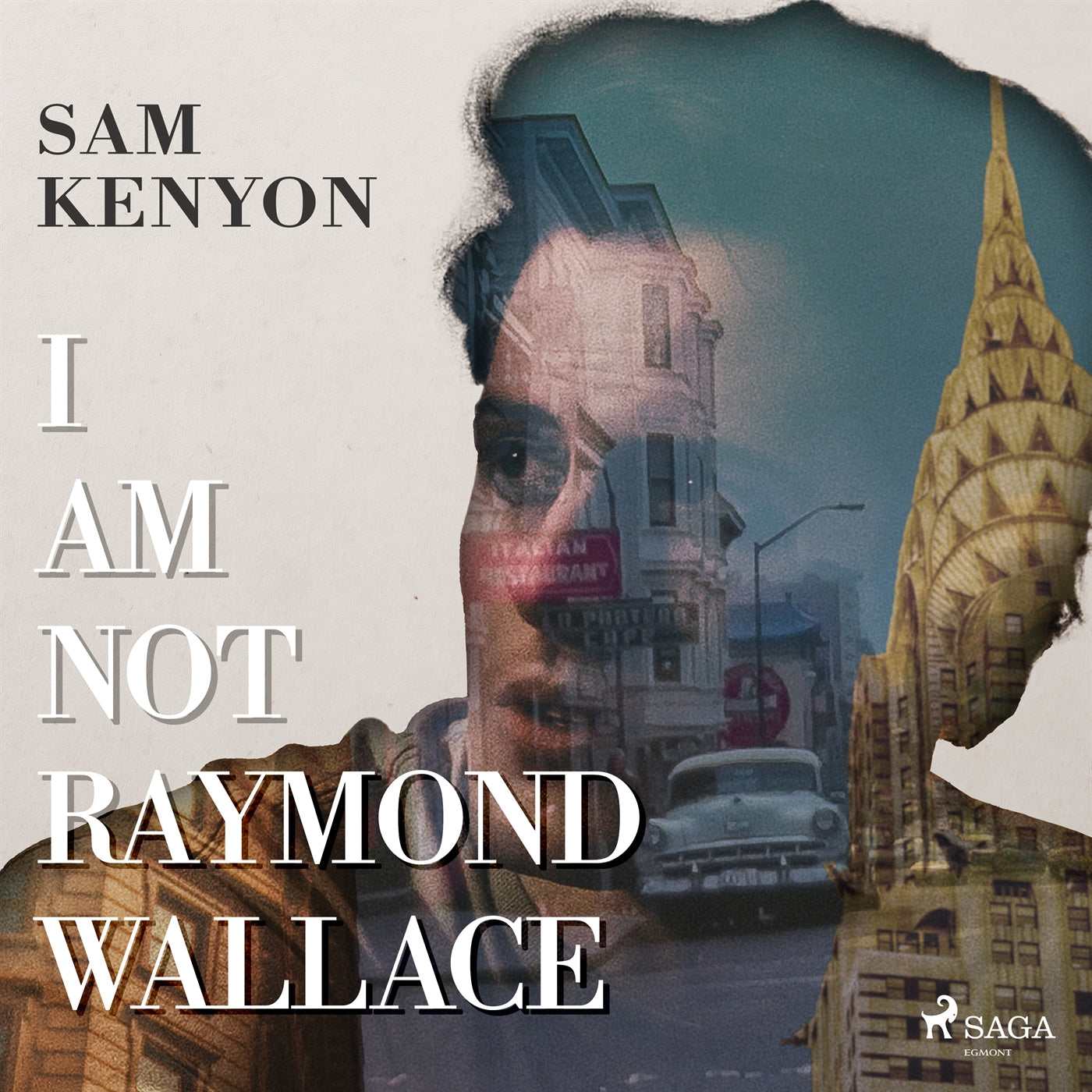 I Am Not Raymond Wallace – Ljudbok