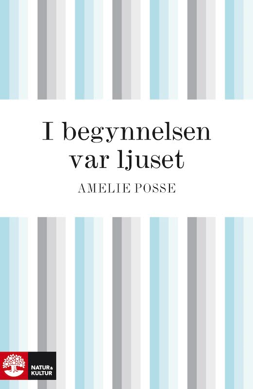 I begynnelsen var ljuset – E-bok