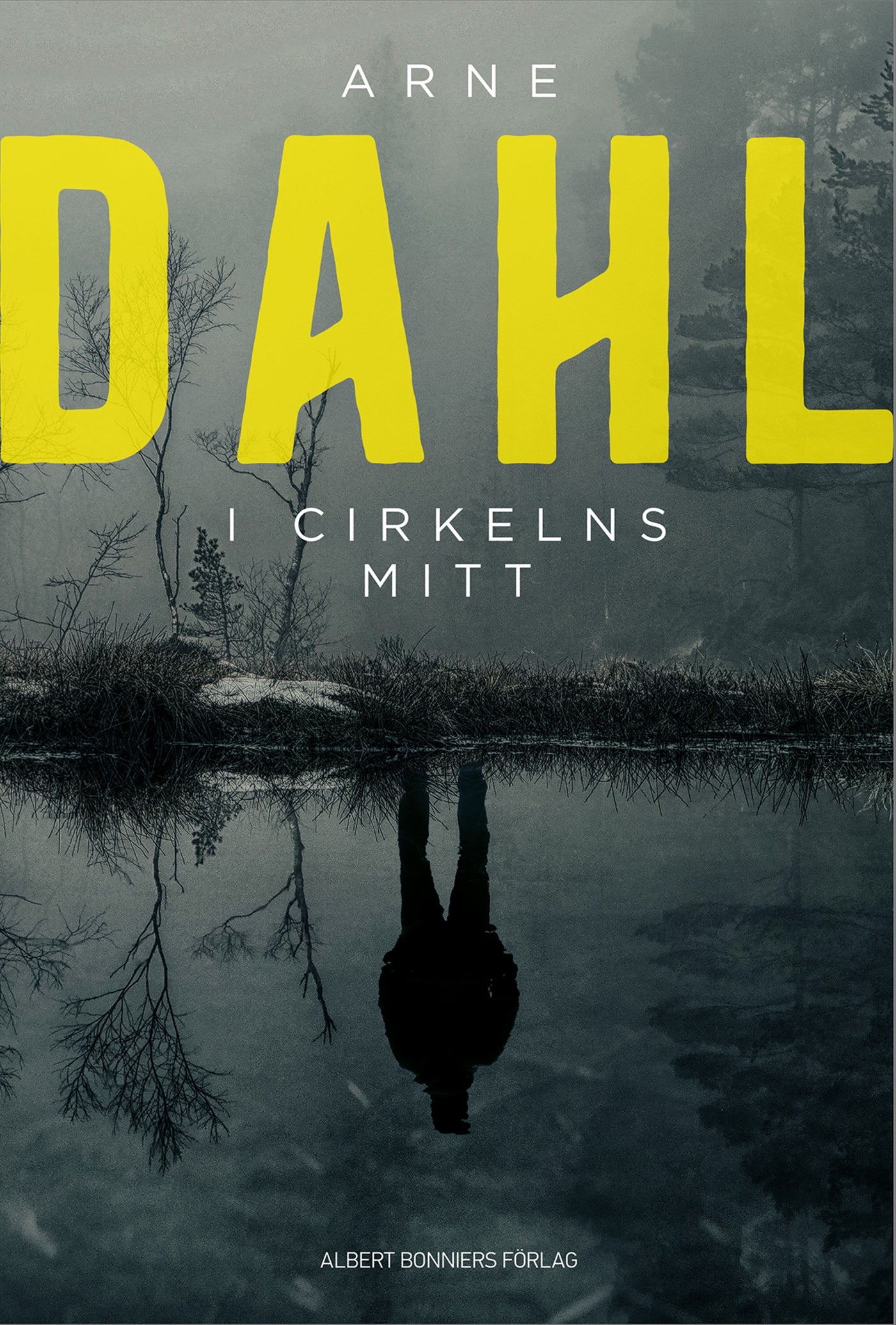I cirkelns mitt – E-bok
