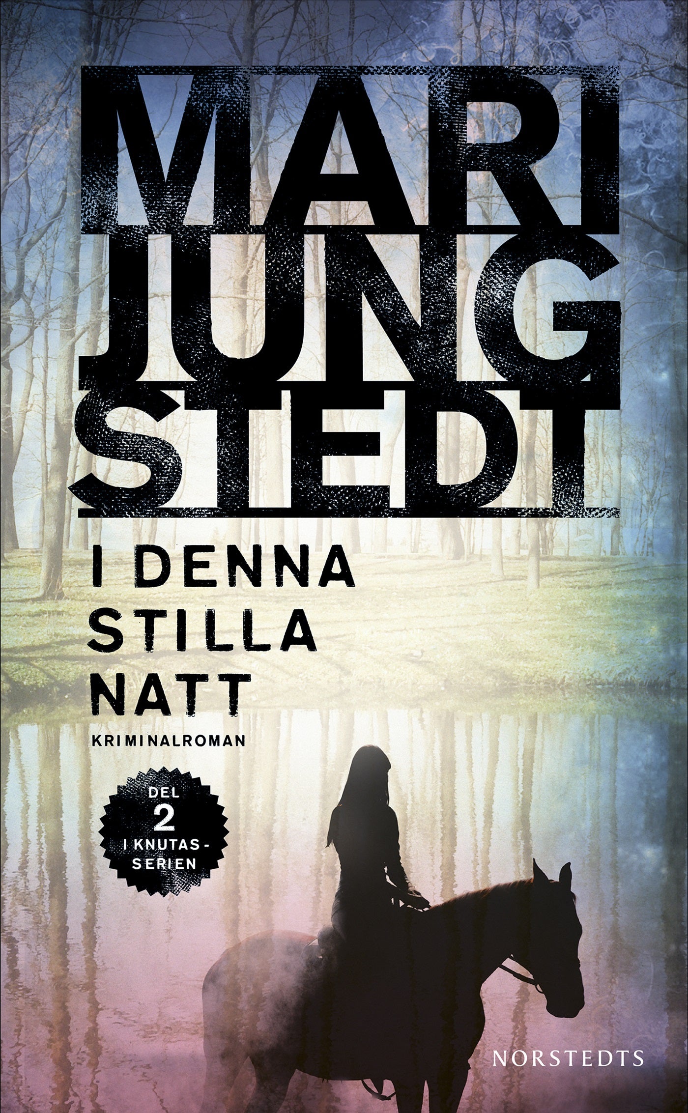 I denna stilla natt – E-bok