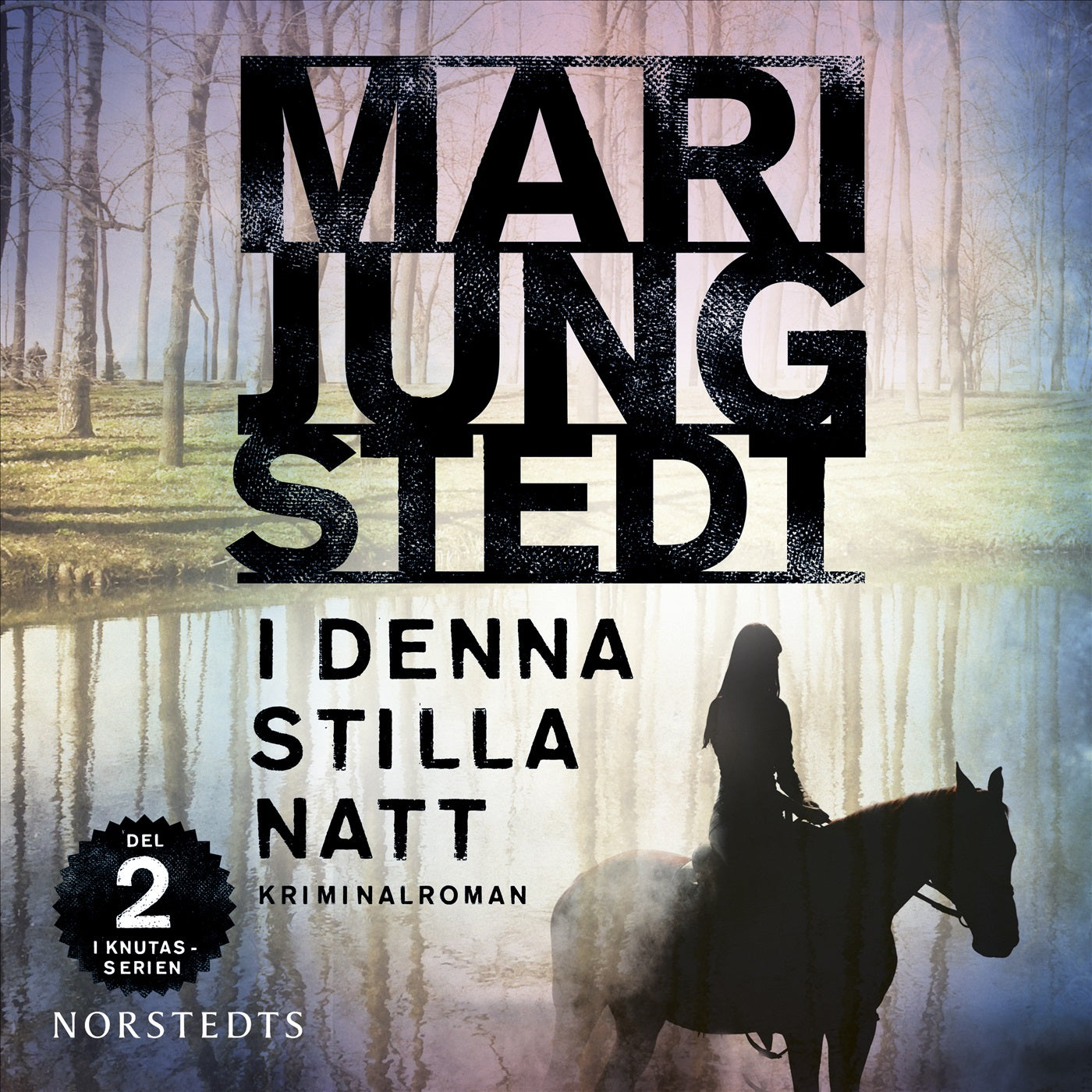 I denna stilla natt – Ljudbok