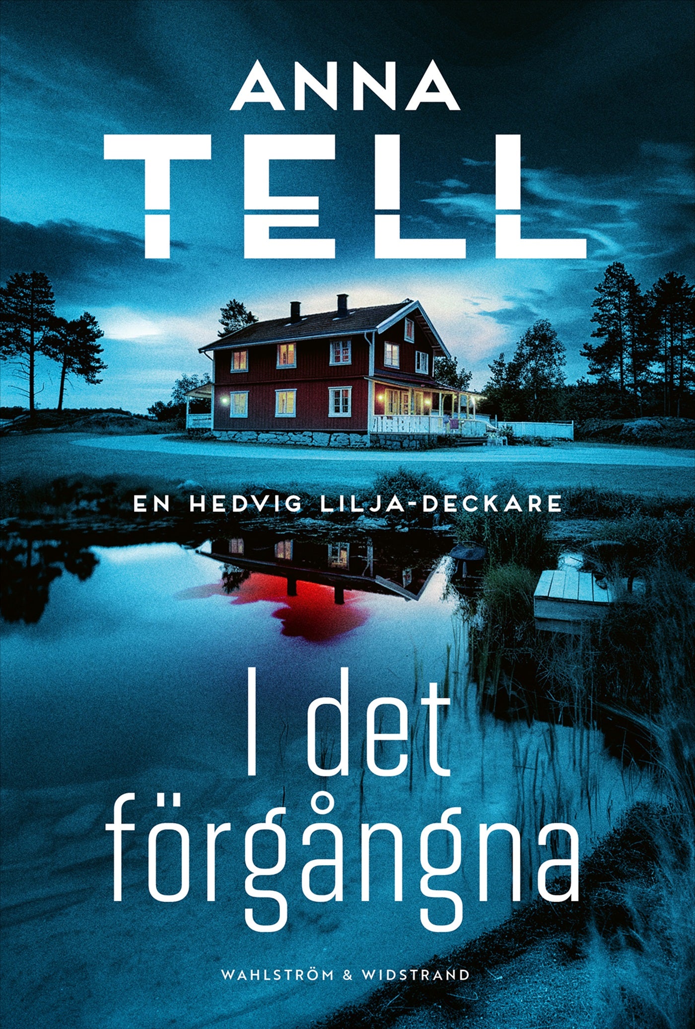 I det förgångna – E-bok