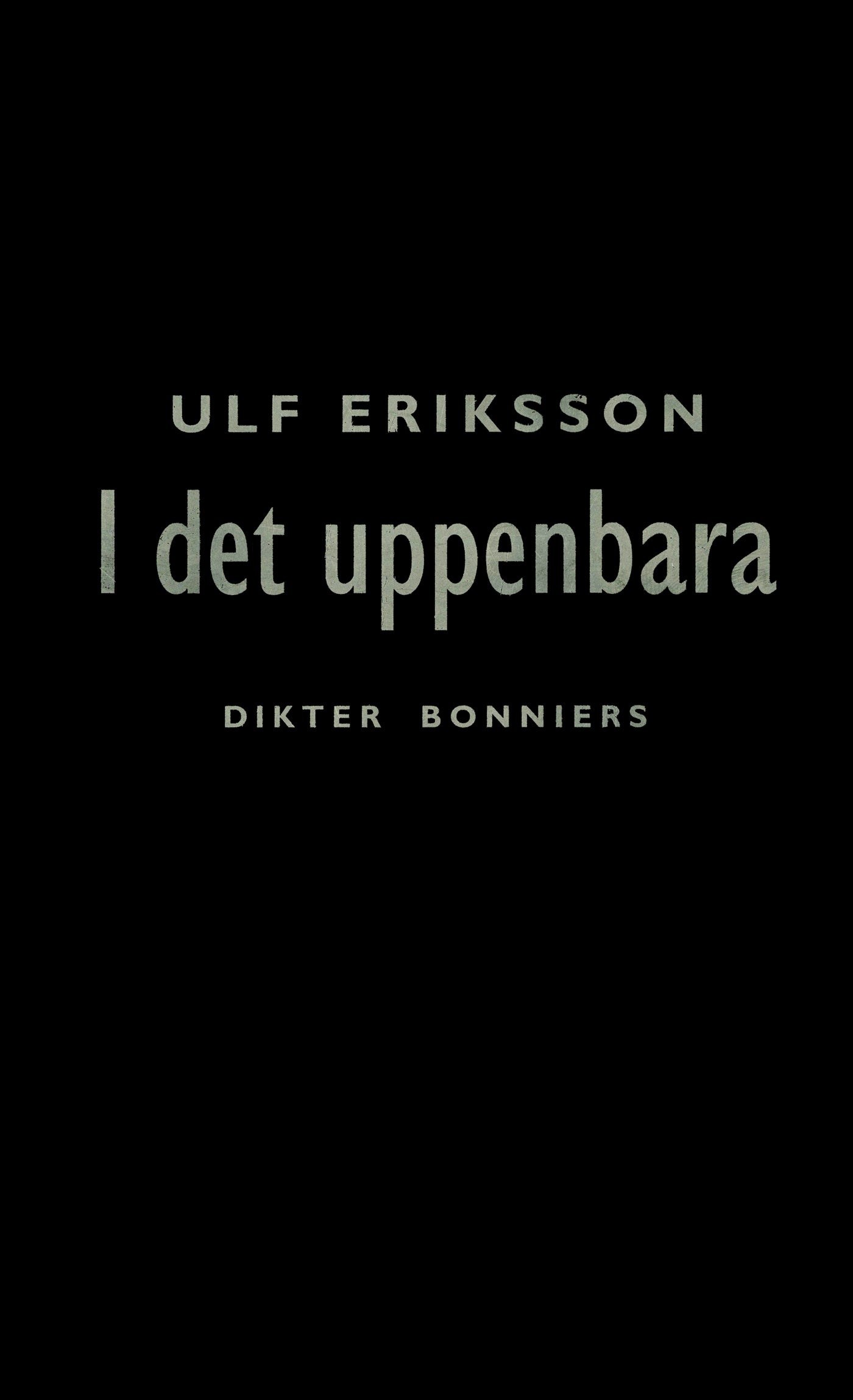 I det uppenbara : dikter – E-bok