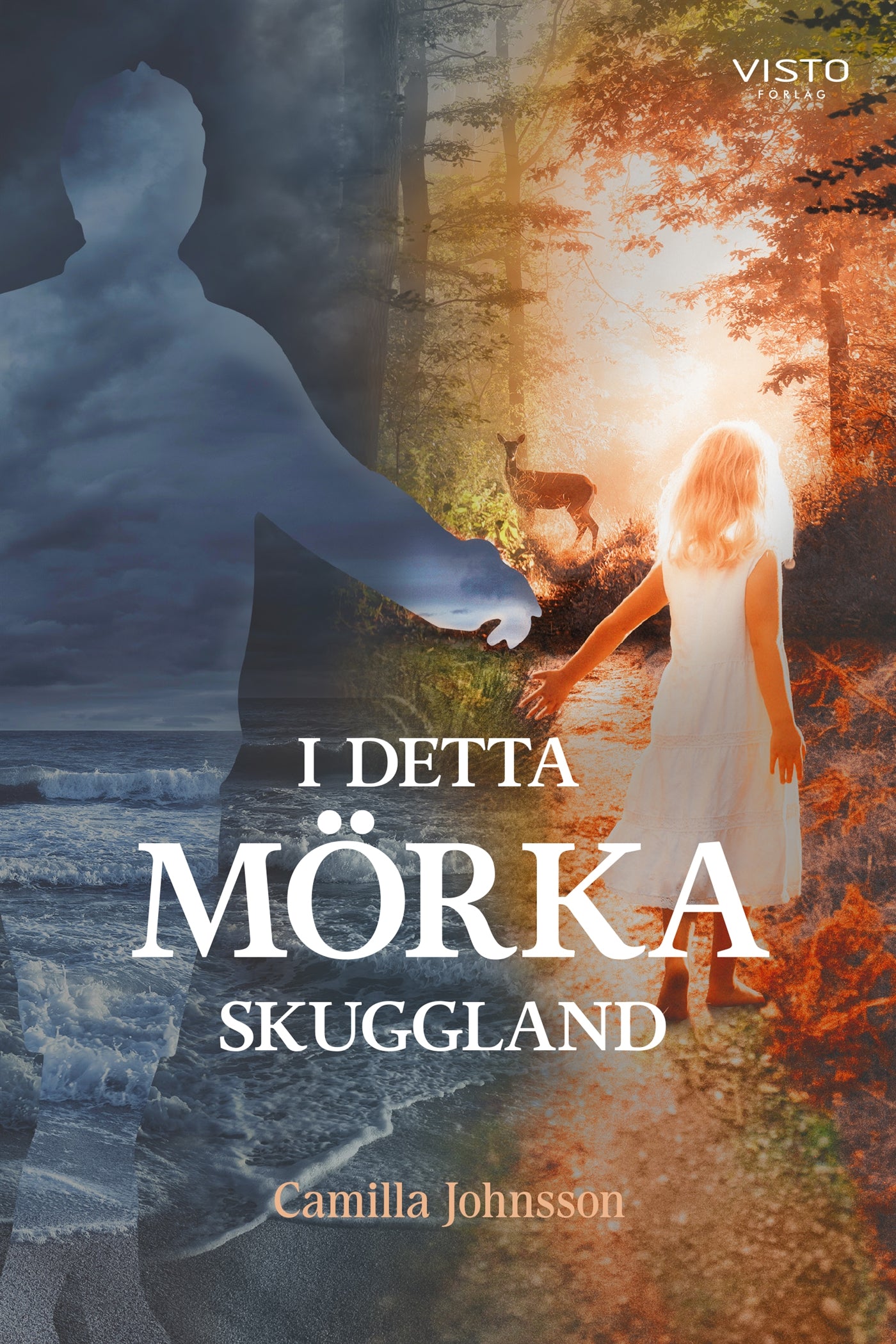 I detta mörka skuggland – E-bok