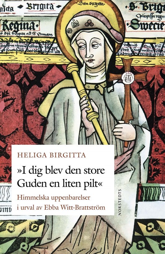 "I dig blev den store Guden en liten pilt" : Heliga Birgittas himmelska uppenbarelser – E-bok