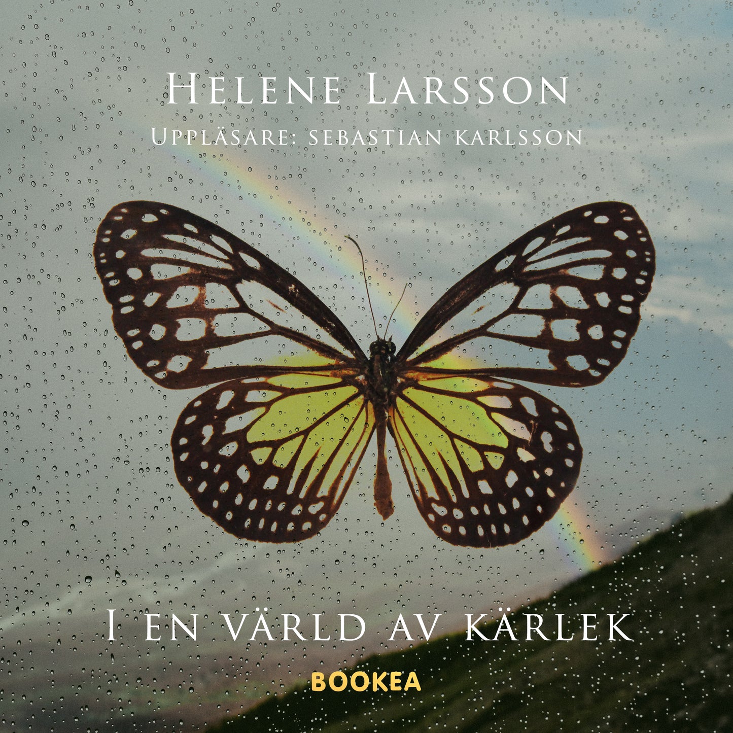 I en värld av kärlek – Ljudbok