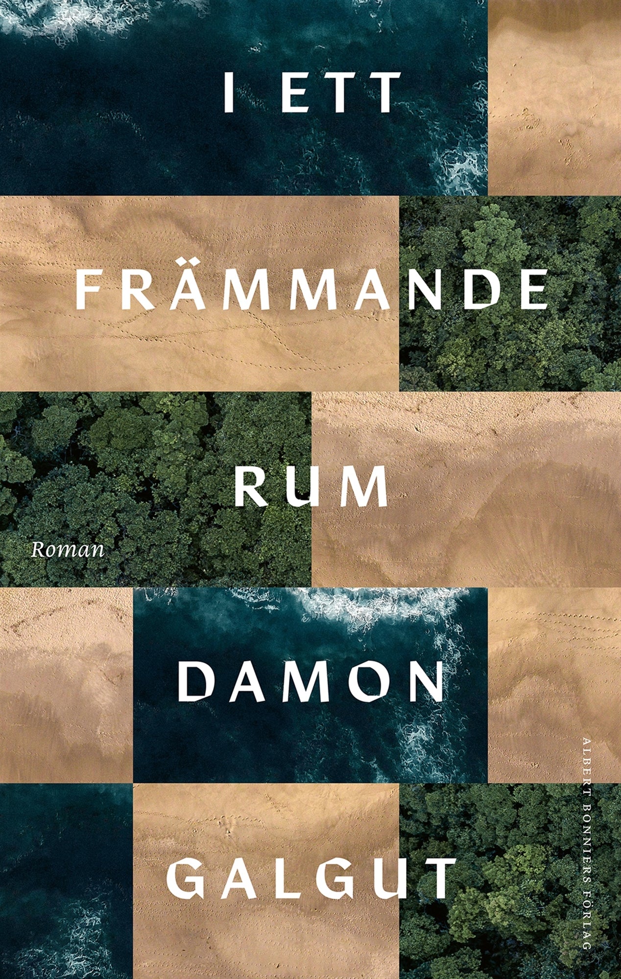 I ett främmande rum – E-bok
