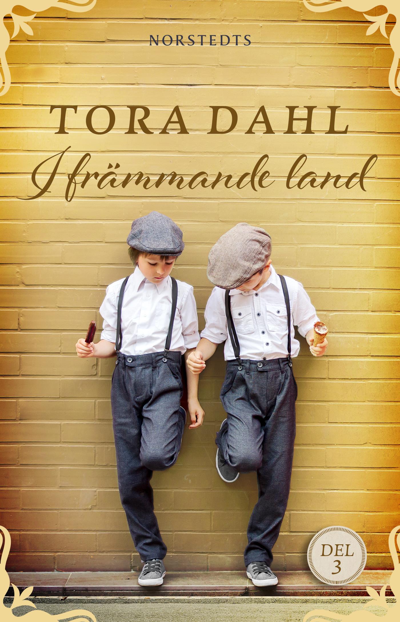 I främmande land – E-bok