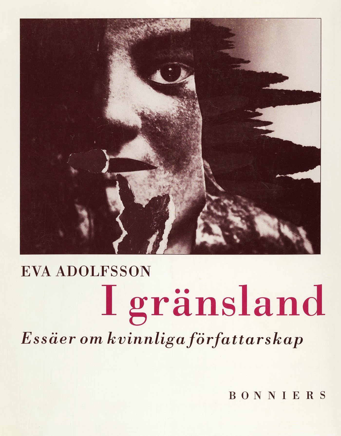 I gränsland : essäer om kvinnliga författarskap – E-bok