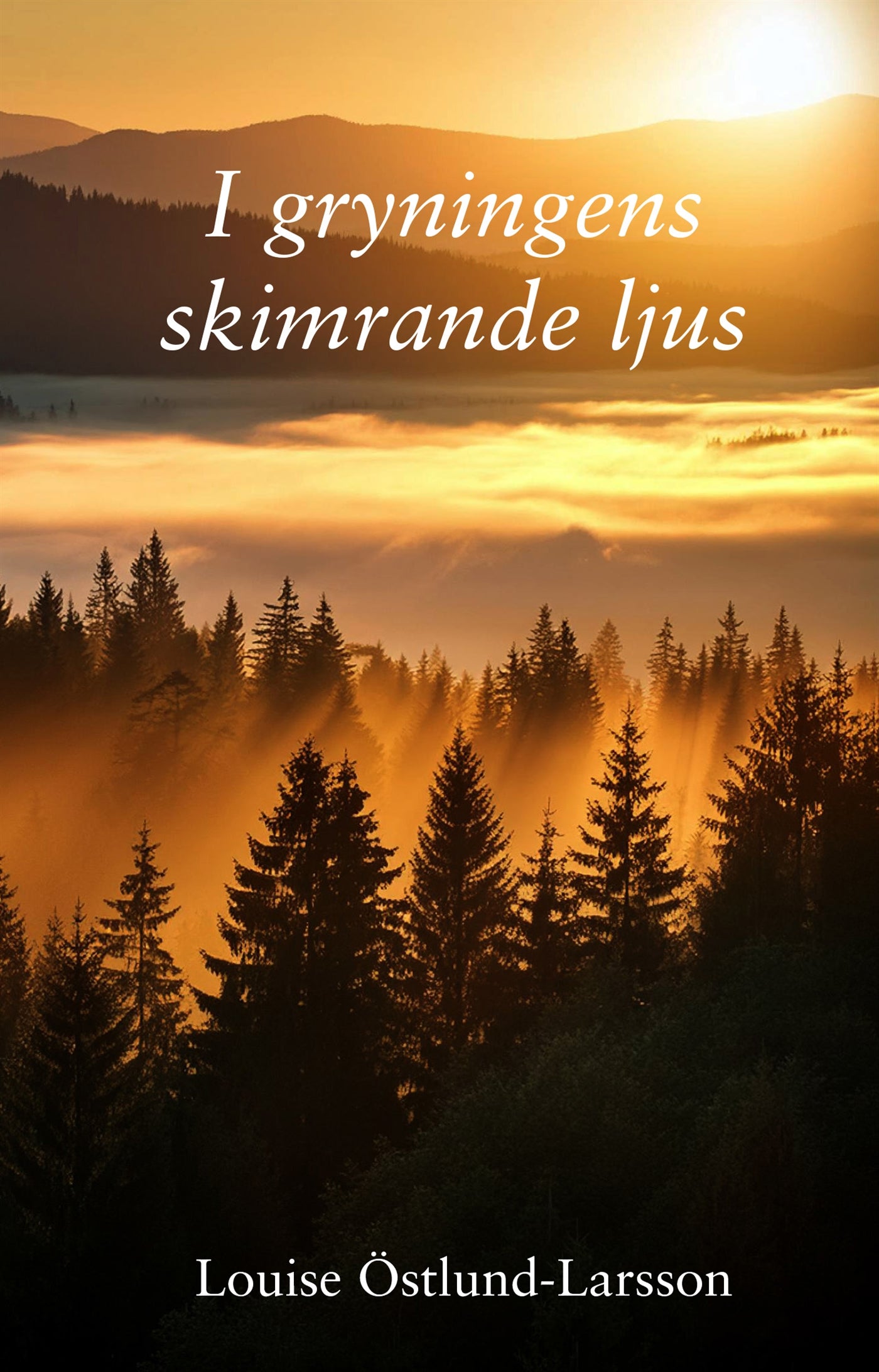 I gryningens skimrande ljus – E-bok