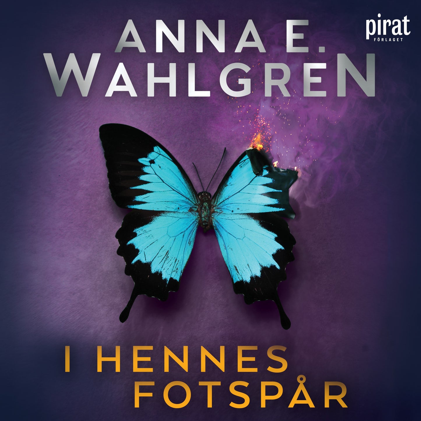 I hennes fotspår – Ljudbok