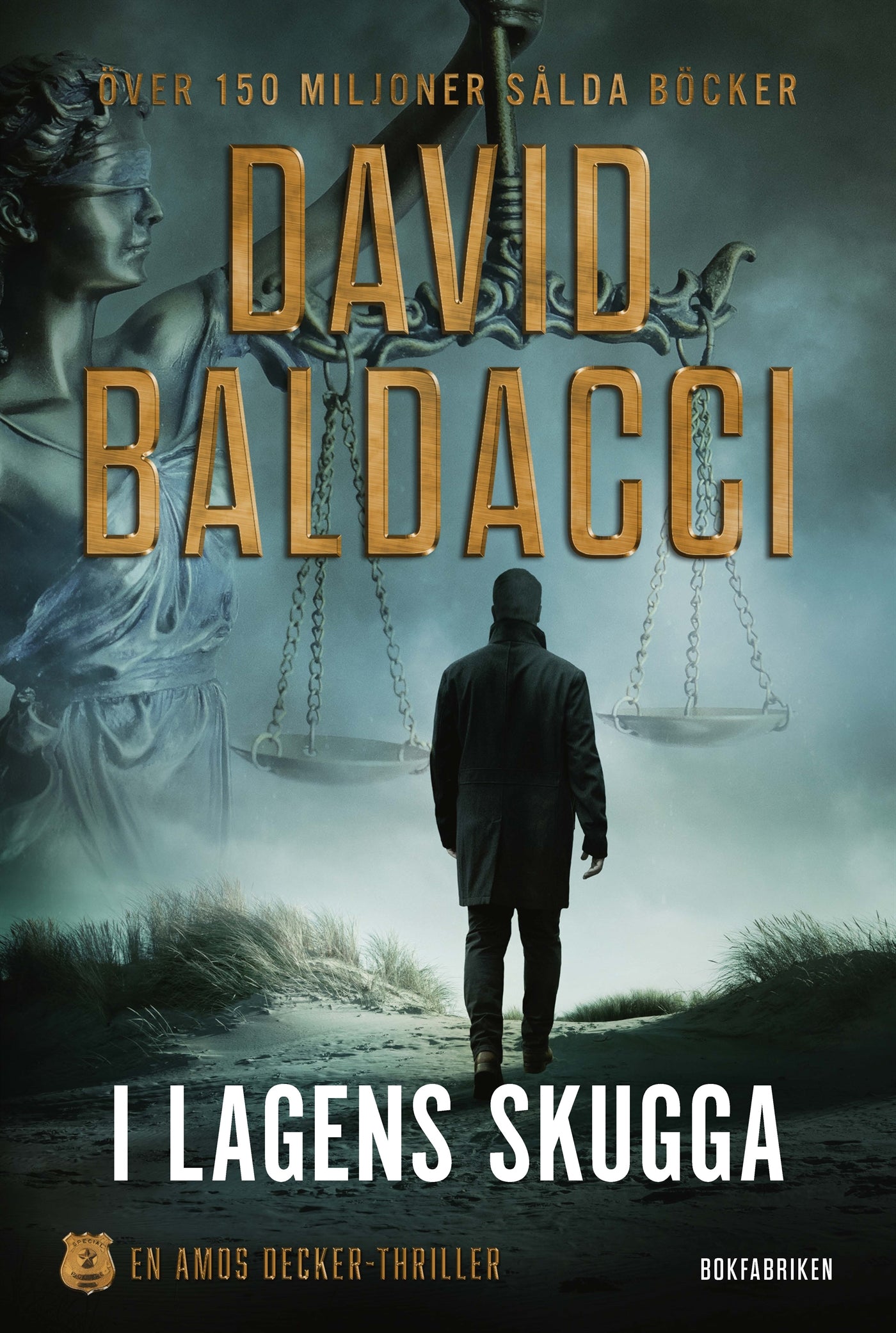 I lagens skugga – E-bok