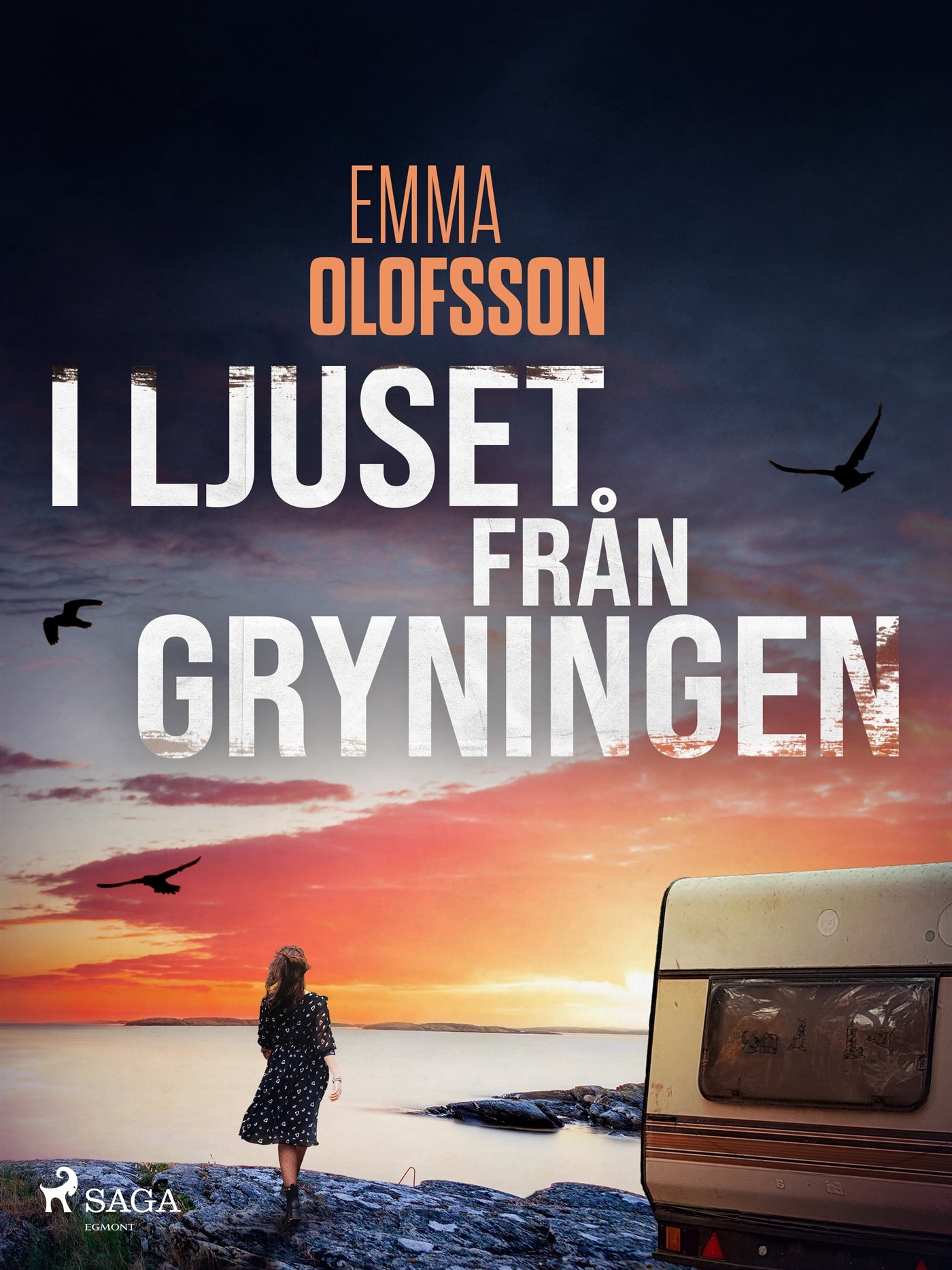I ljuset från gryningen – E-bok