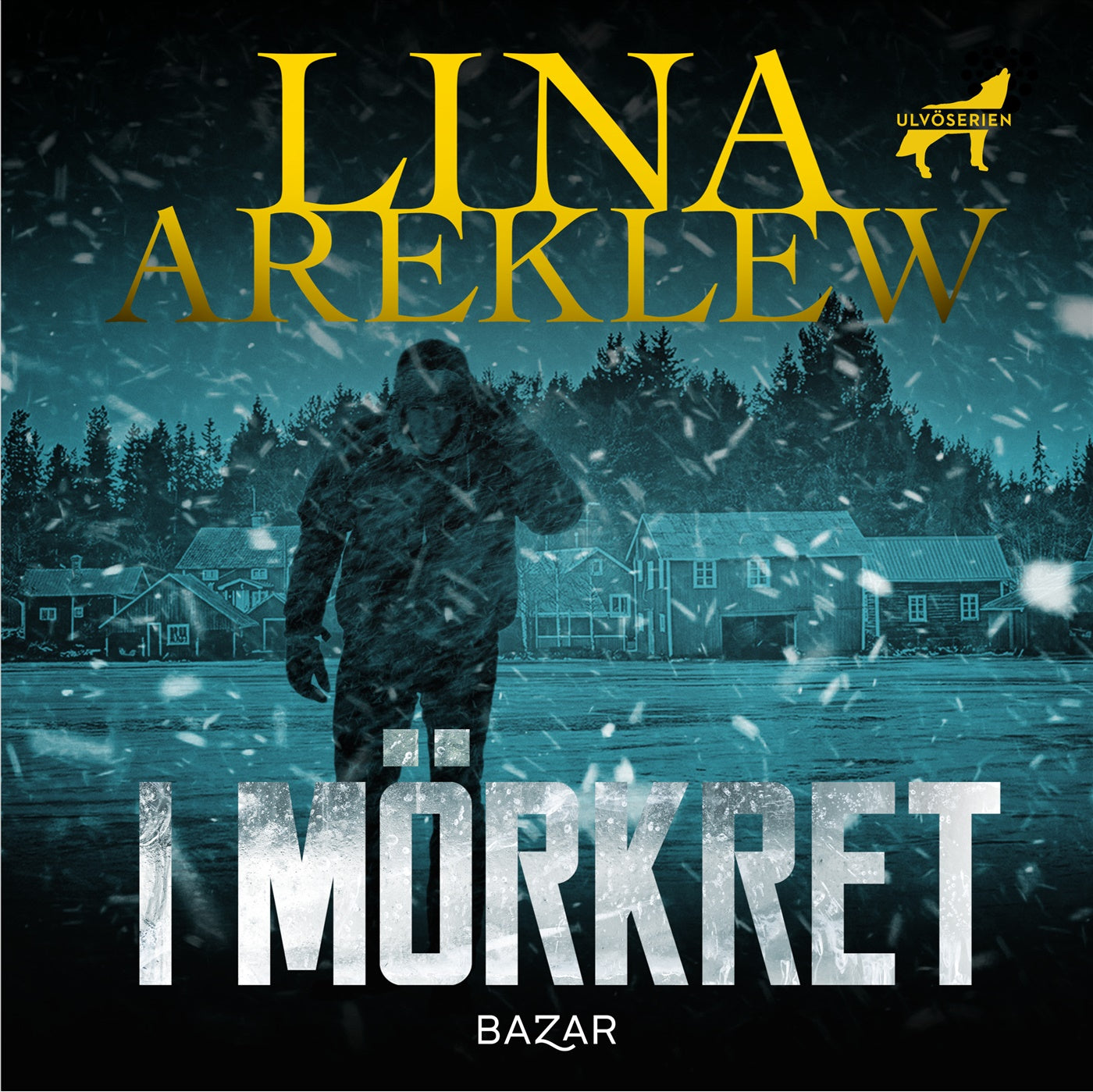 I mörkret – Ljudbok