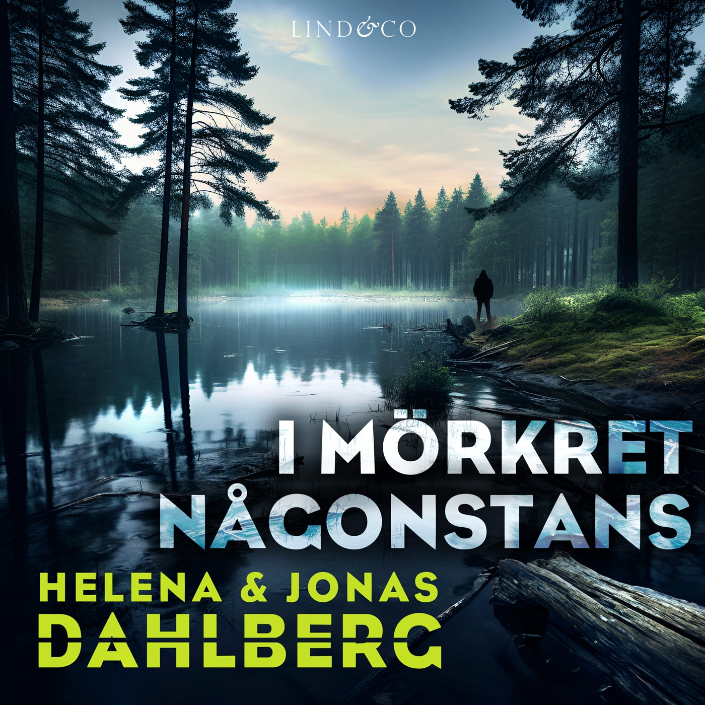 I mörkret någonstans – Ljudbok