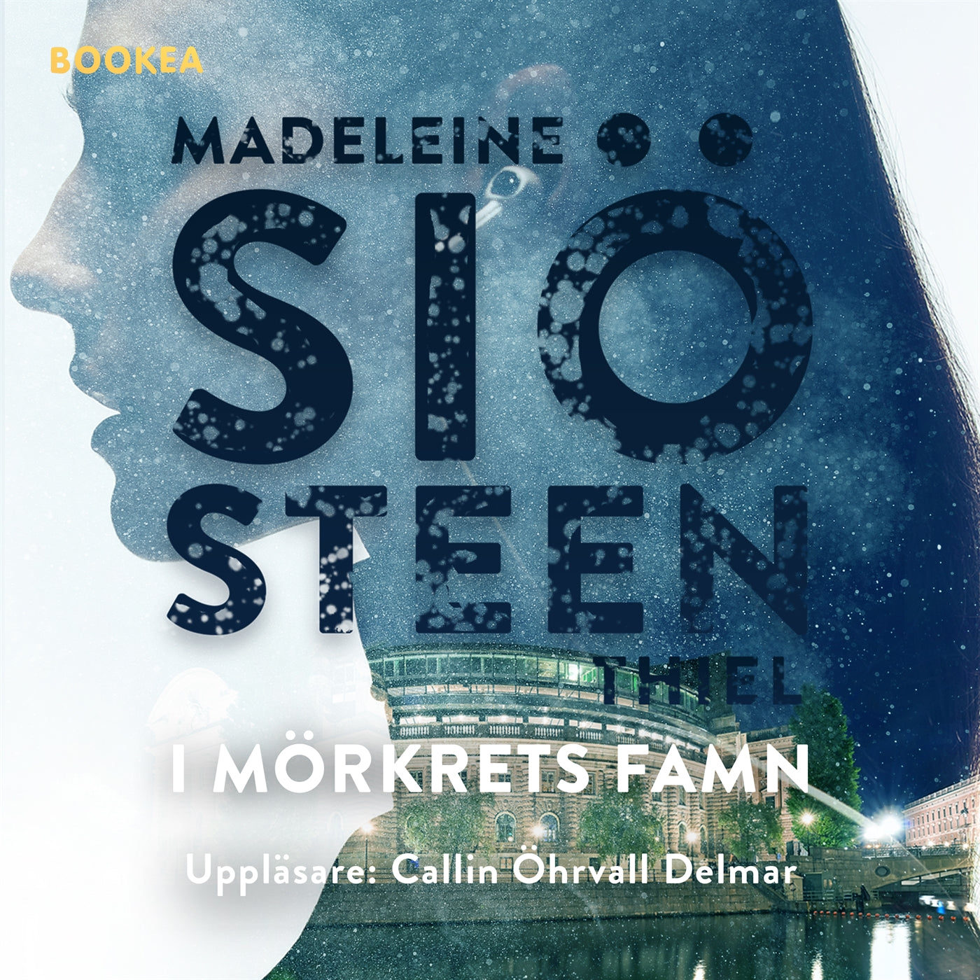 I mörkrets famn – Ljudbok